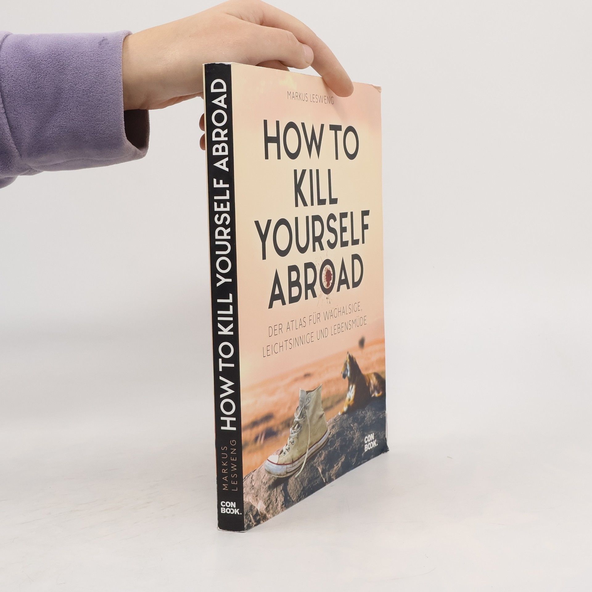 Markus Lesweng How to kill yourself abroad
