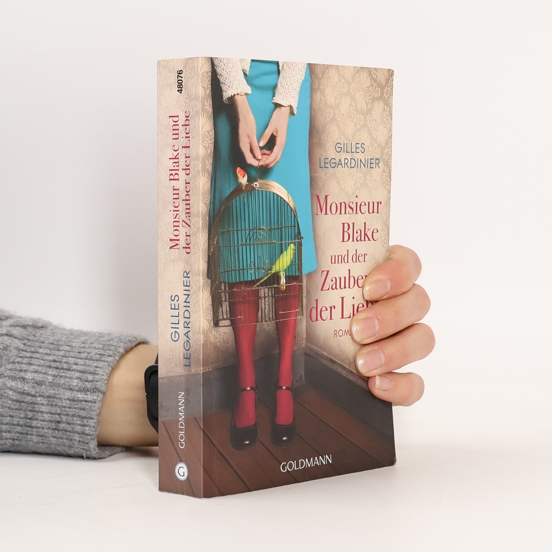 Gilles Legardinier Monsieur Blake und der Zauber der Liebe