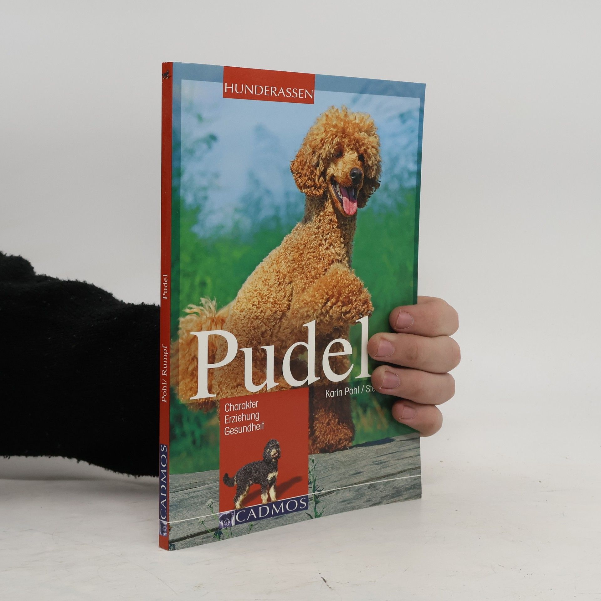 Karin Pohl Pudel