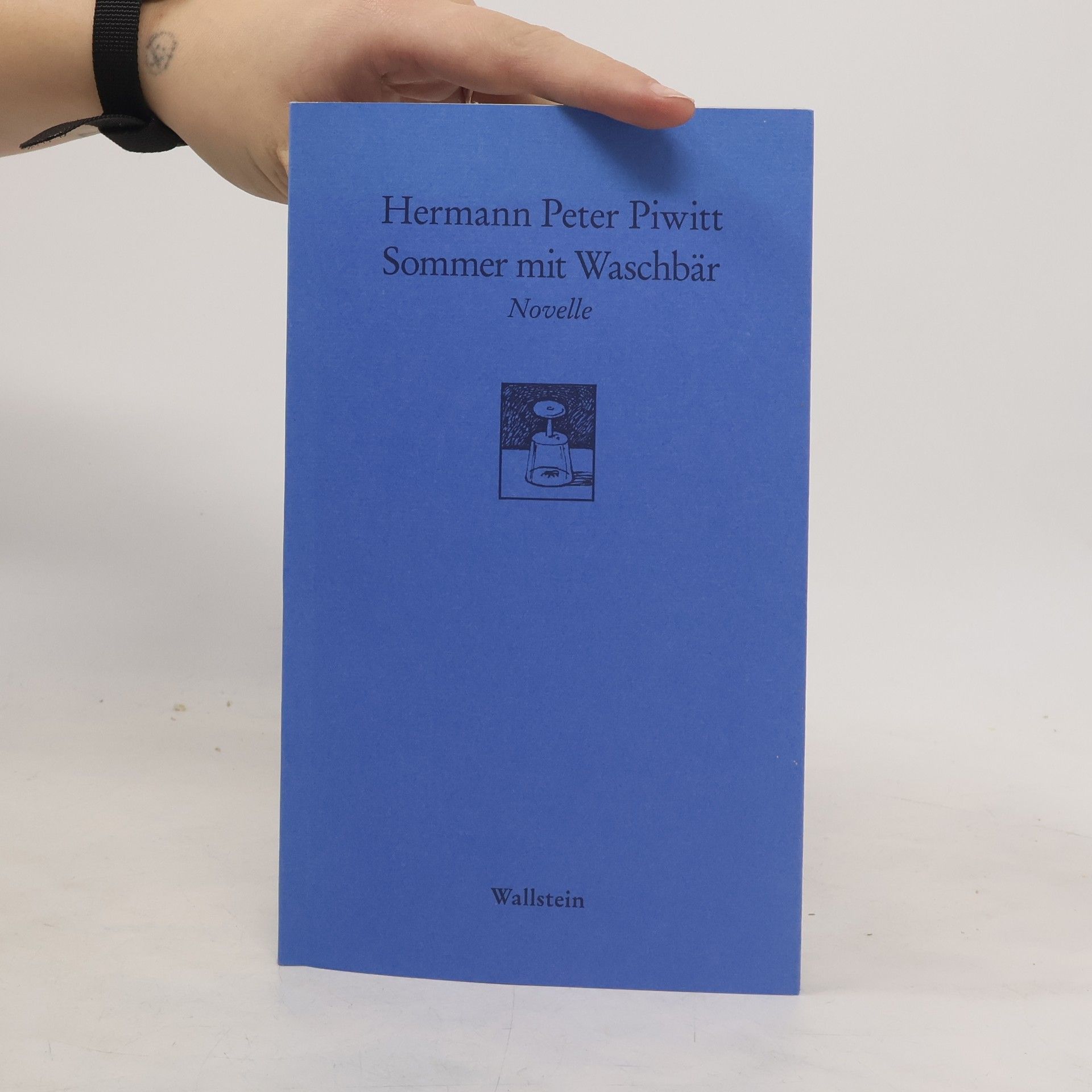 Hermann Peter Piwitt Sommer mit Waschbär