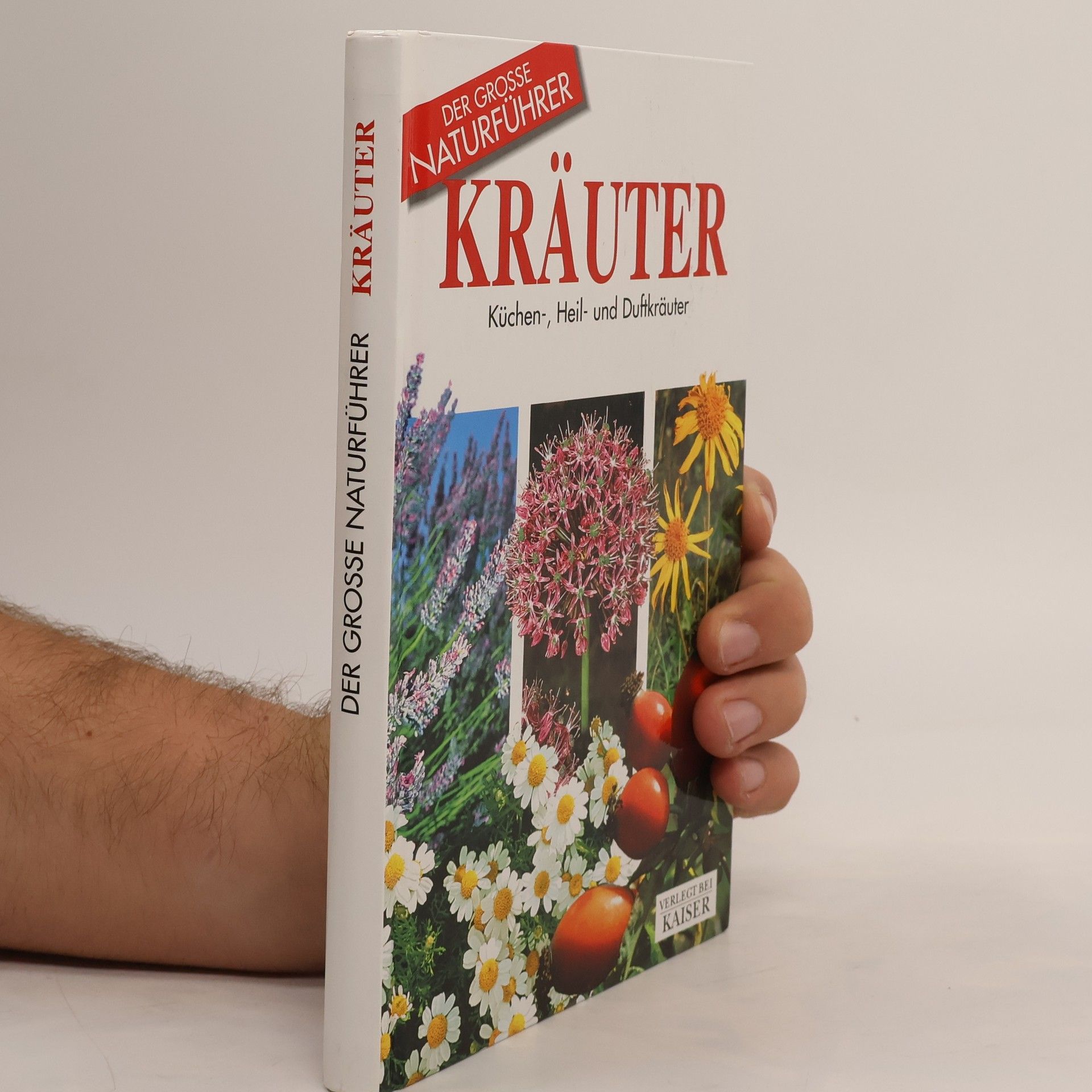 Collectif d'auteurs Der grosse Naturführer Kräuter