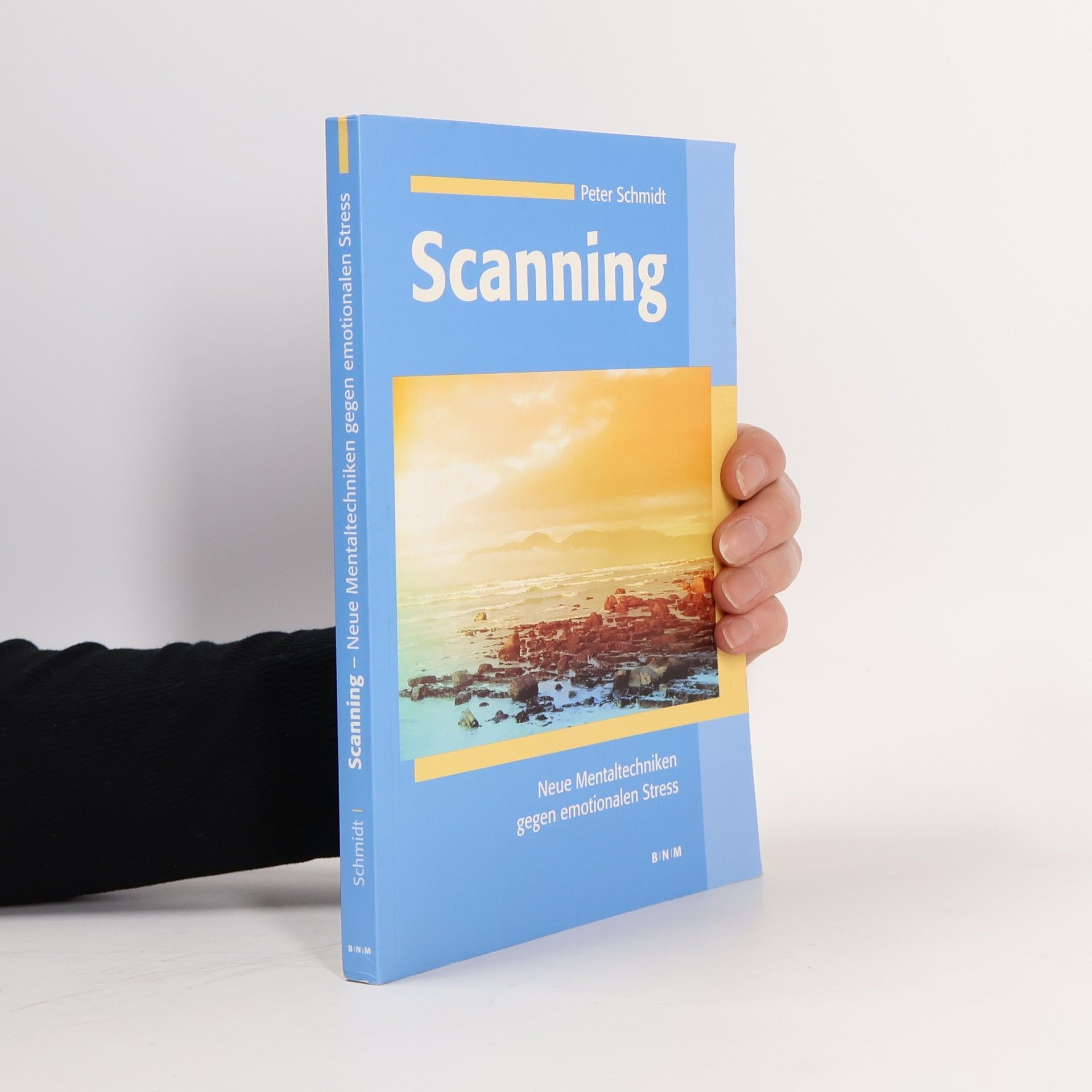 Peter Schmidt Scanning