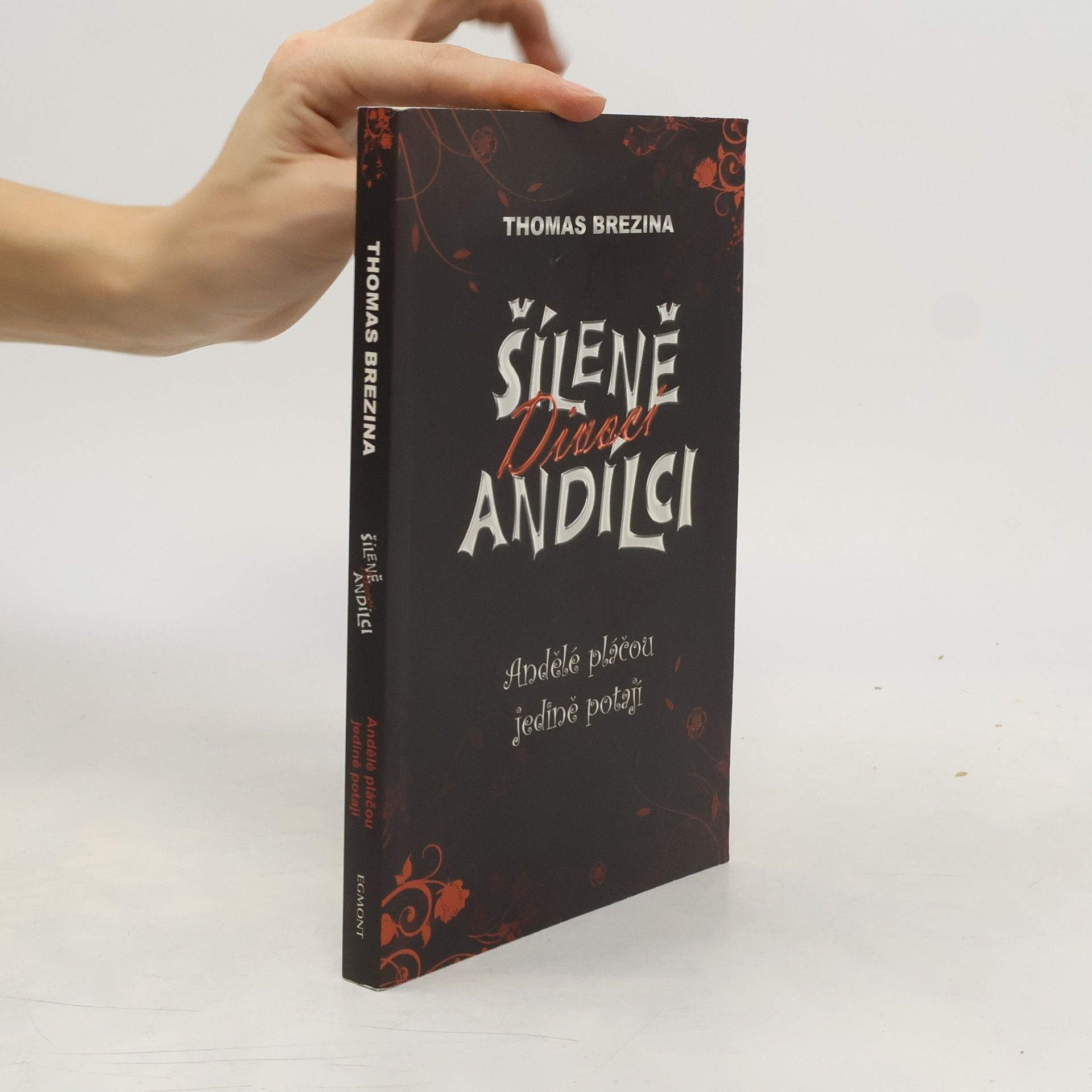 Thomas Brezina Andělé pláčou jedině potají