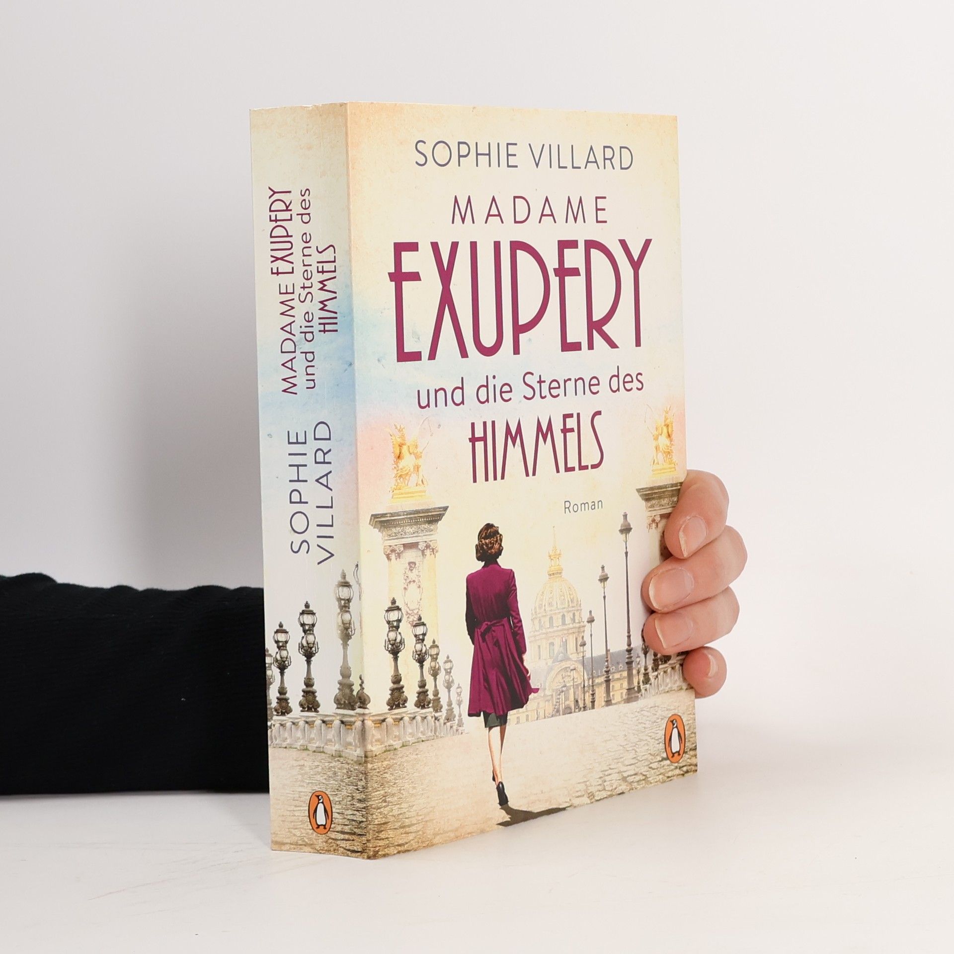 Sophie Villard Madame Exupéry und die Sterne des Himmels