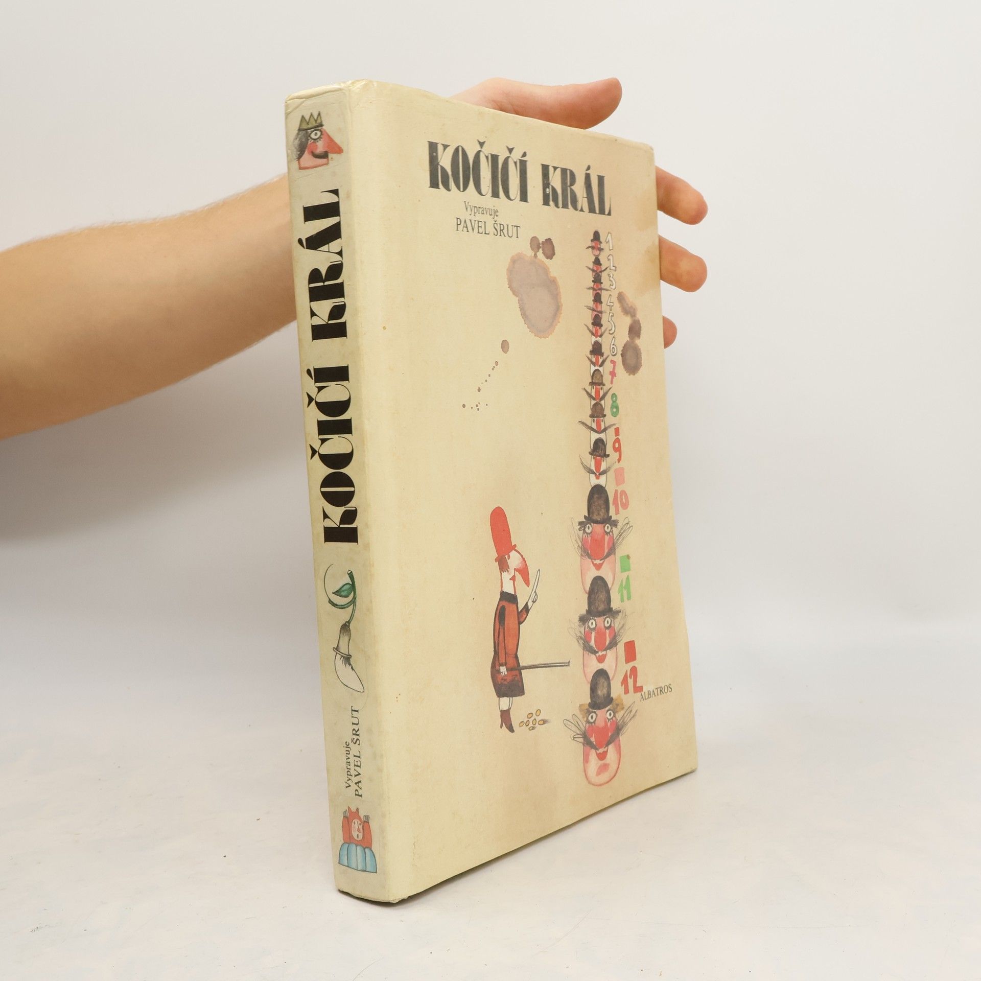 Pavel Šrut Kočičí král
