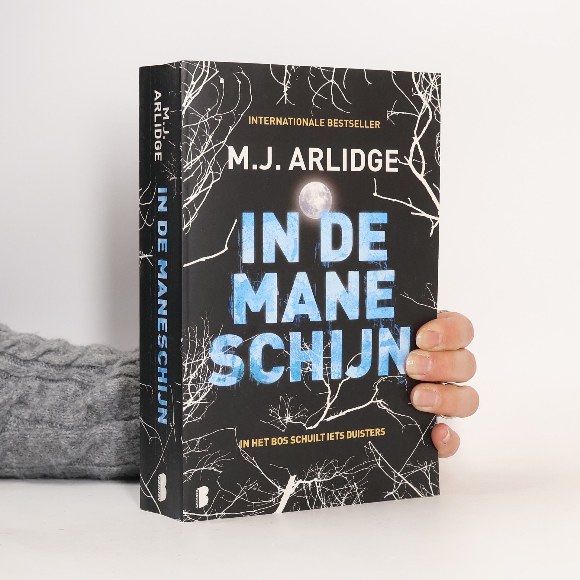 M. J. Arlidge In de maneschijn