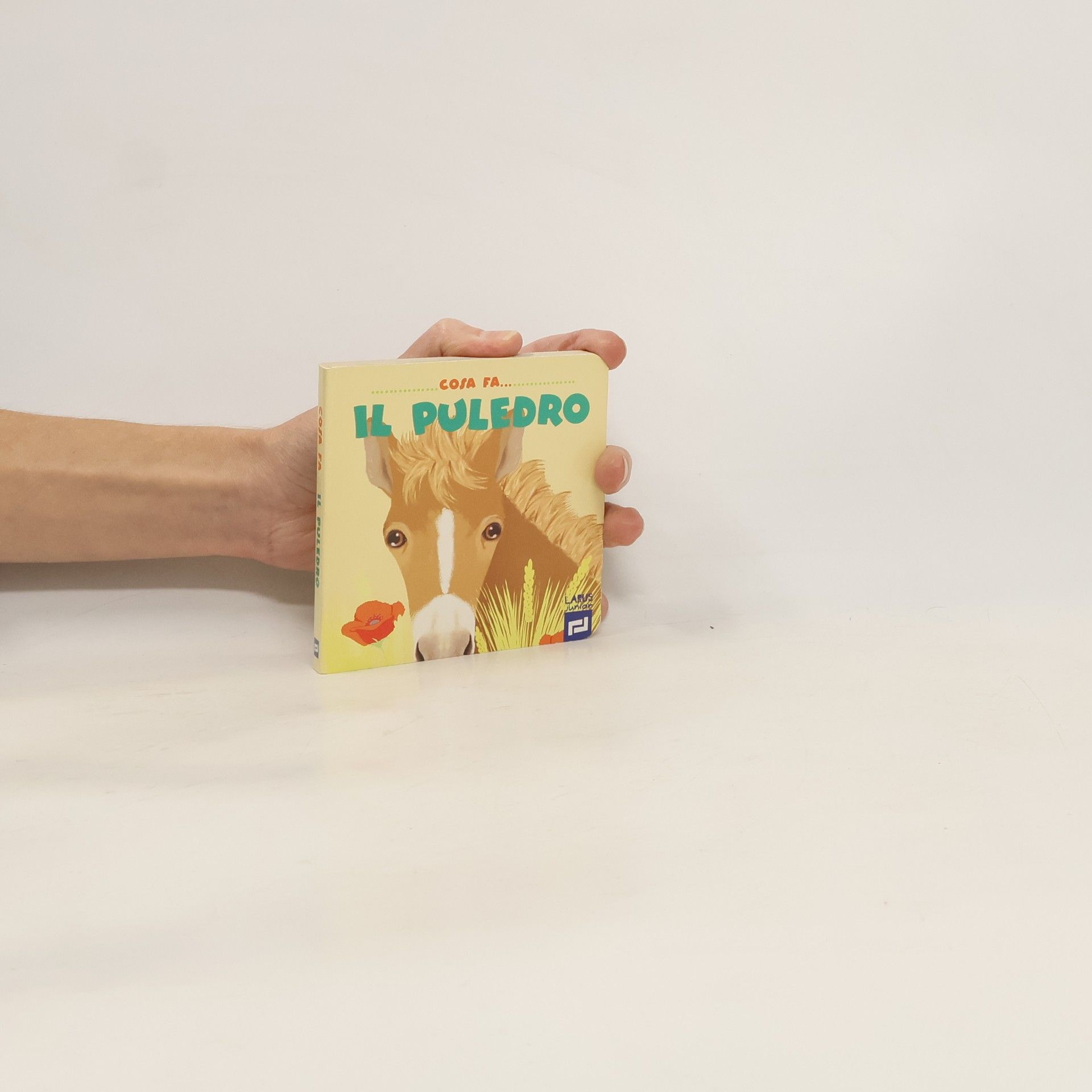 AA.VV. Cosa fa il puledro