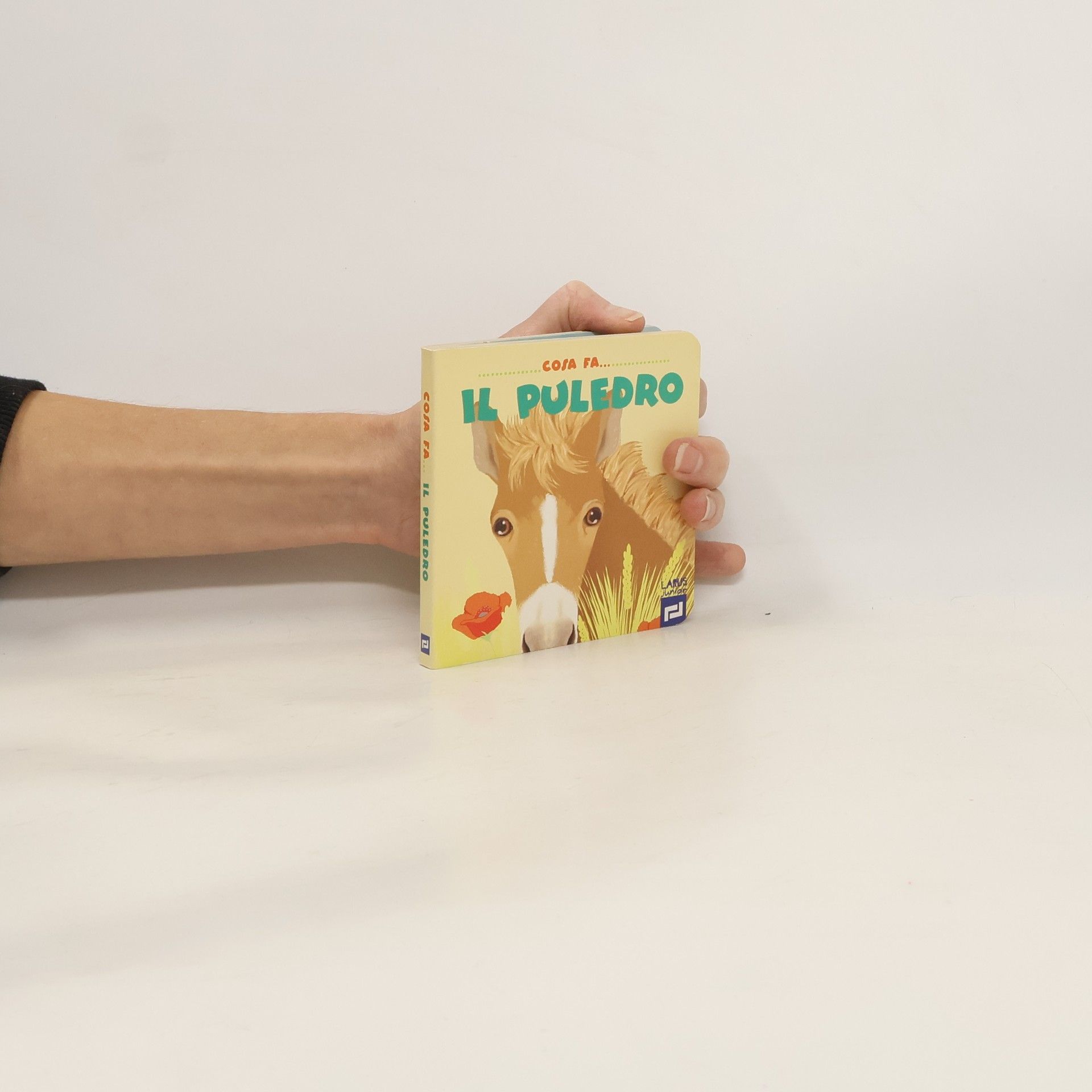 Autorenkollektiv Cosa fa il puledro