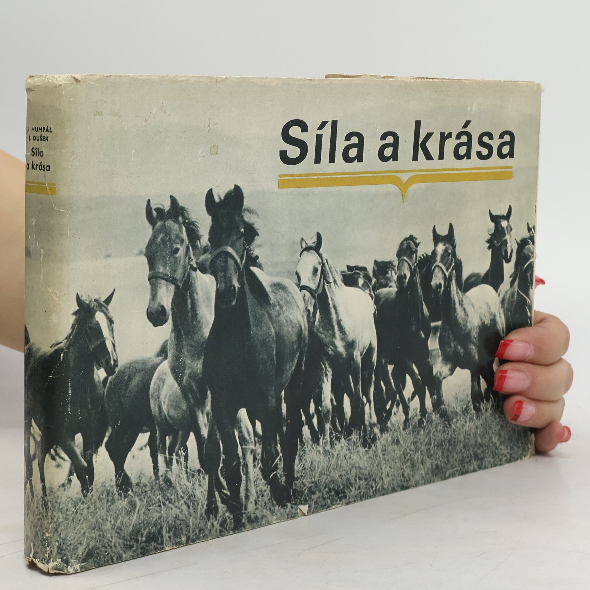 Síla a krása