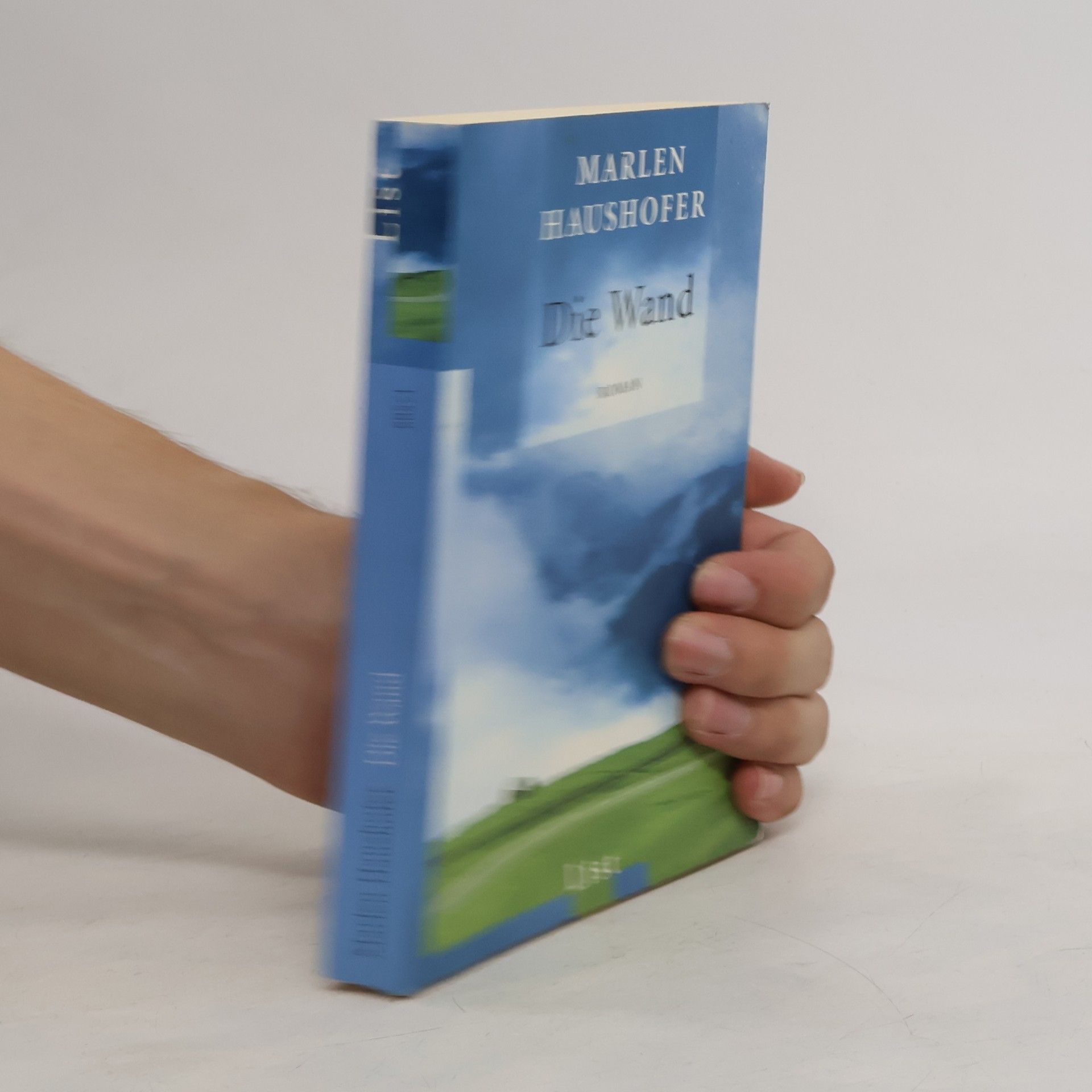 Marlen Haushofer Die Wand
