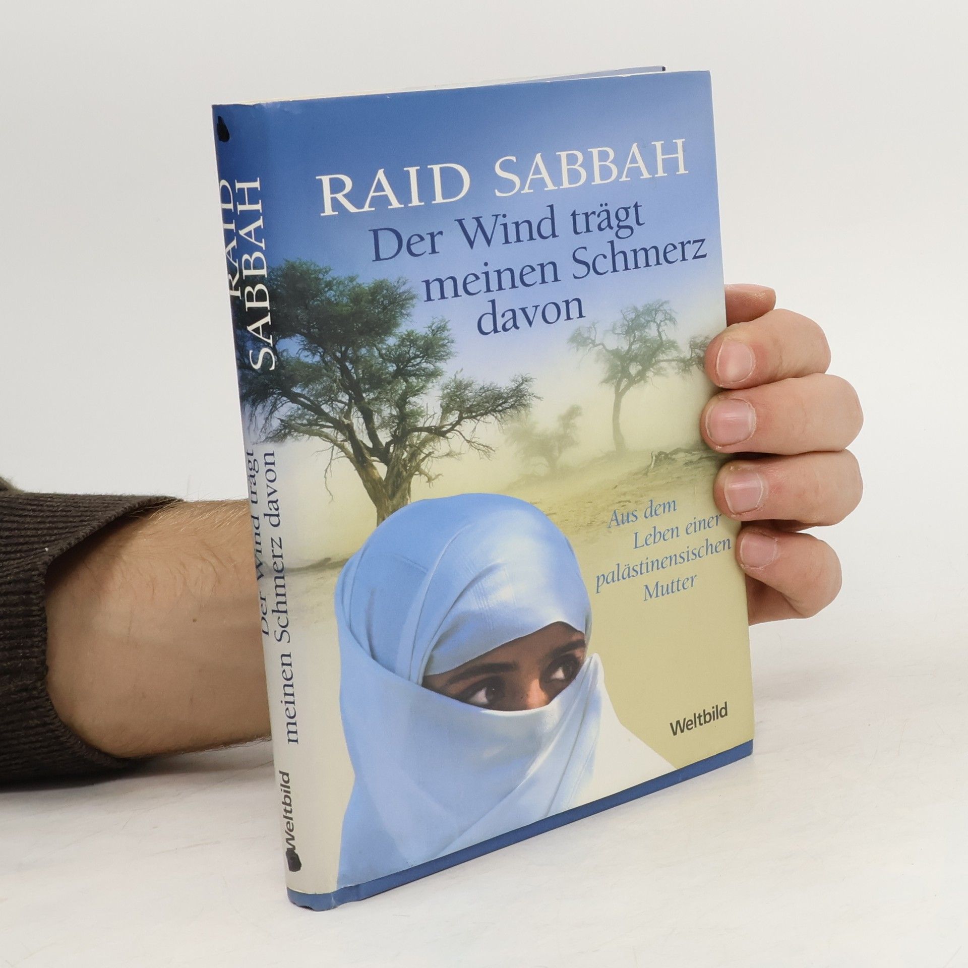 Raid Sabbah Der Wind trägt meinen Schmerz davon