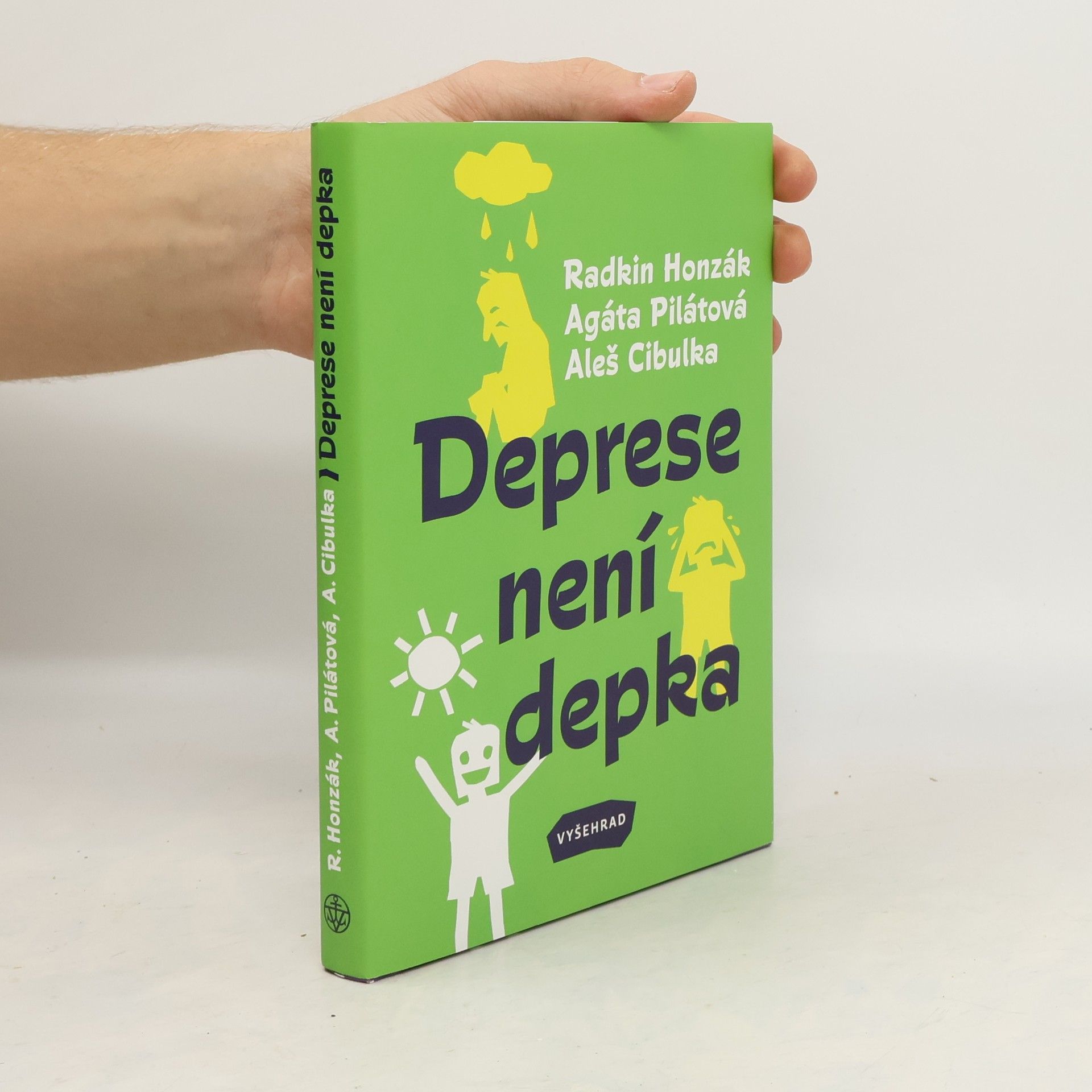 Kolektiv autorů Deprese není depka