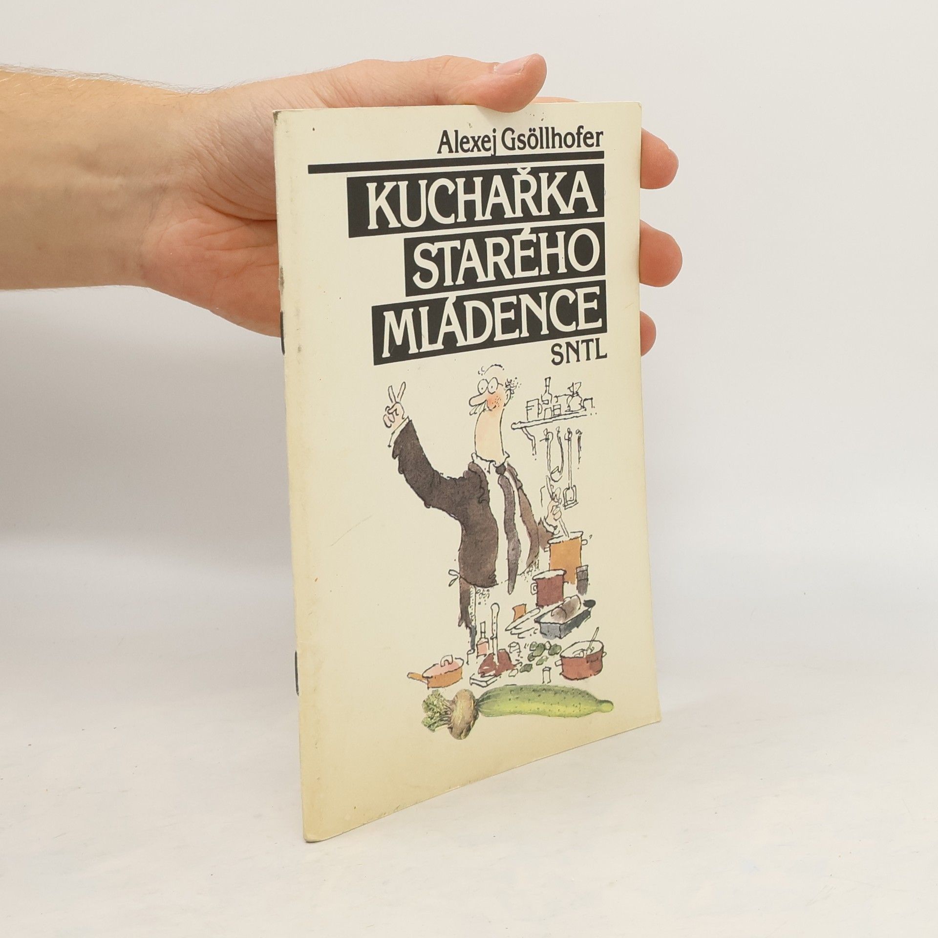 Vladimír Renčín Kuchařka starého mládence