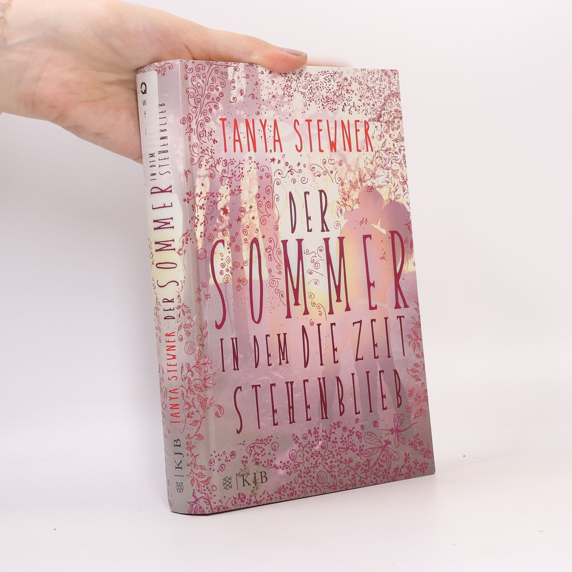 Tanya Stewner Der Sommer, in dem die Zeit stehenblieb