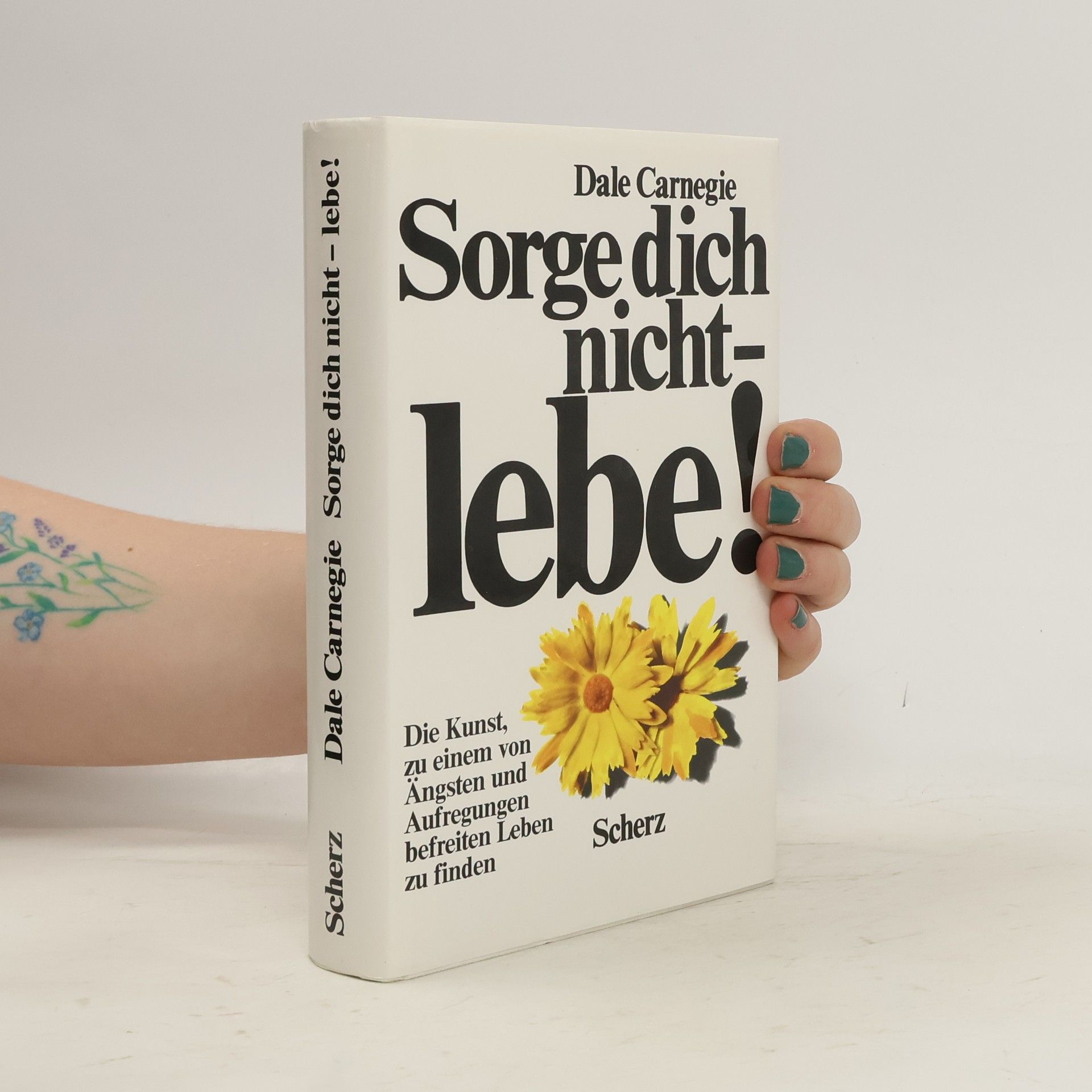 Dale Carnegie Sorge dich nicht - lebe!