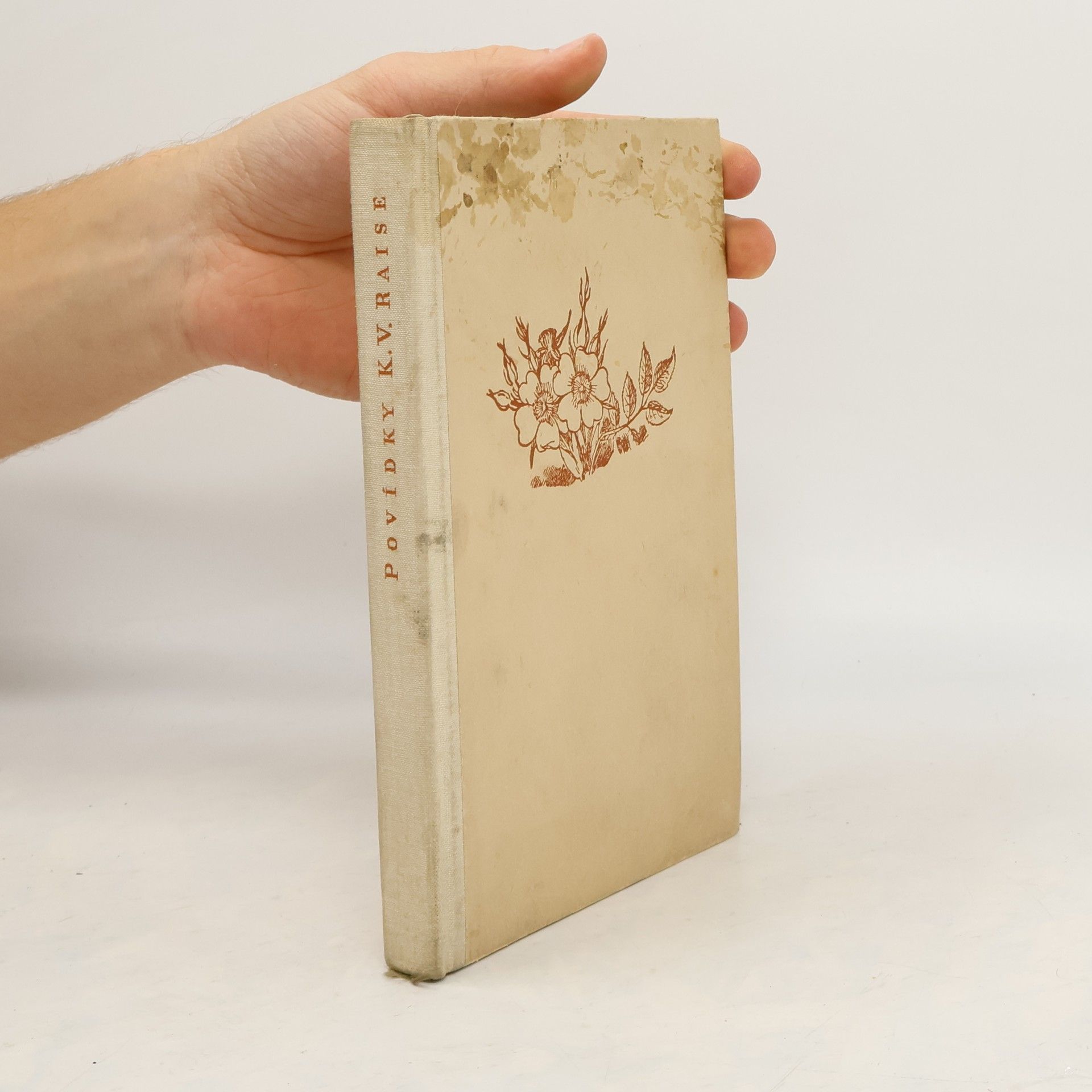 Povídky K. V. Raise