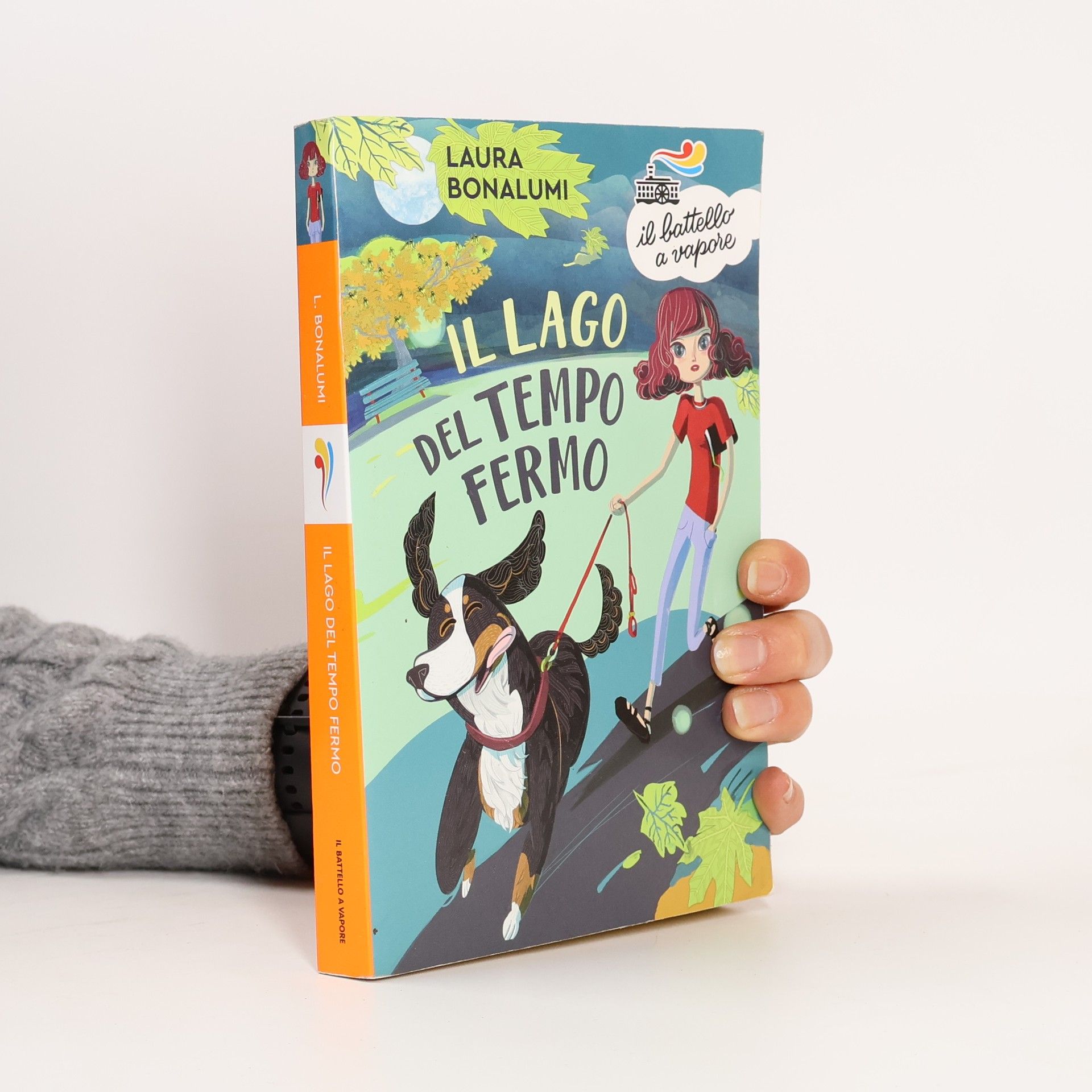 Laura Bonalumi Il lago del tempo fermo