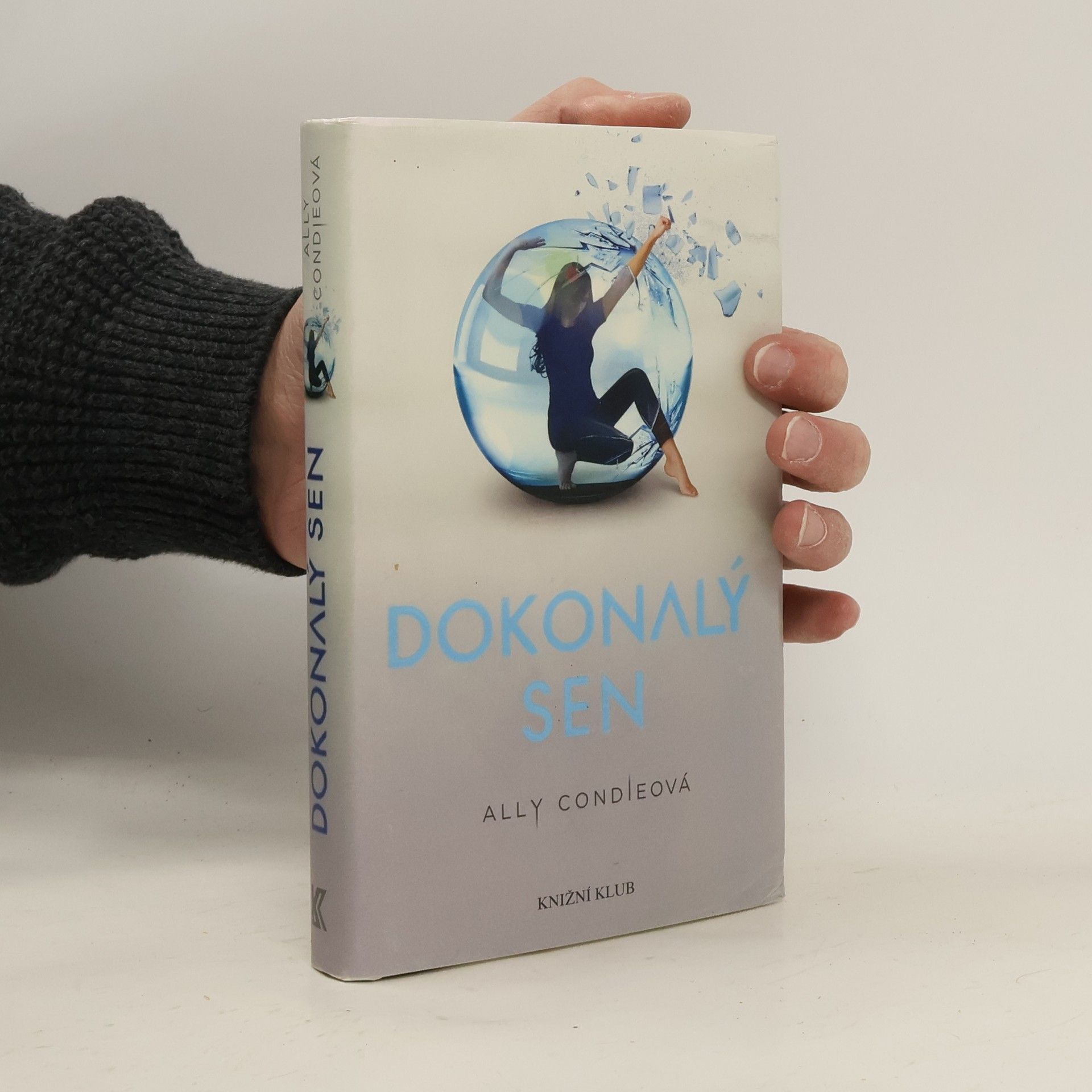 Allyson Braithwaite Condie Dokonalý sen