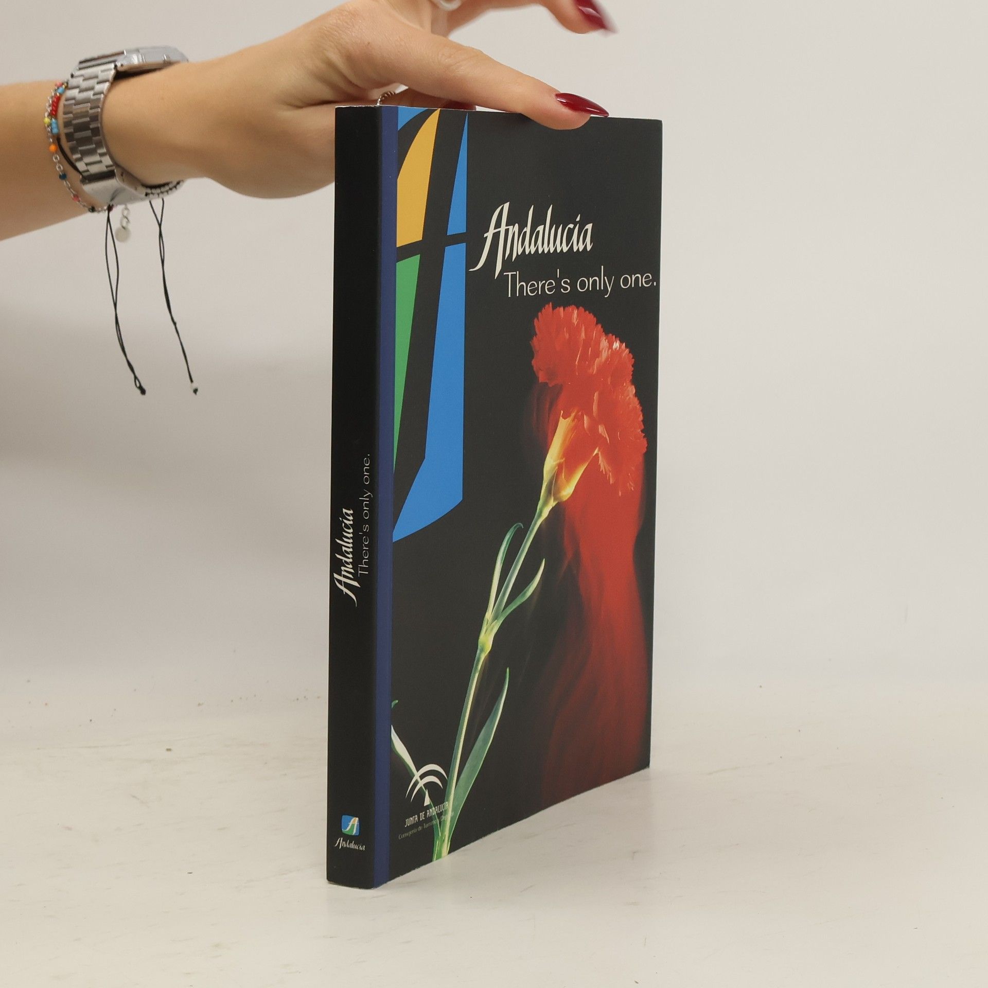 Autores varios Andalucía. There ́s Only One