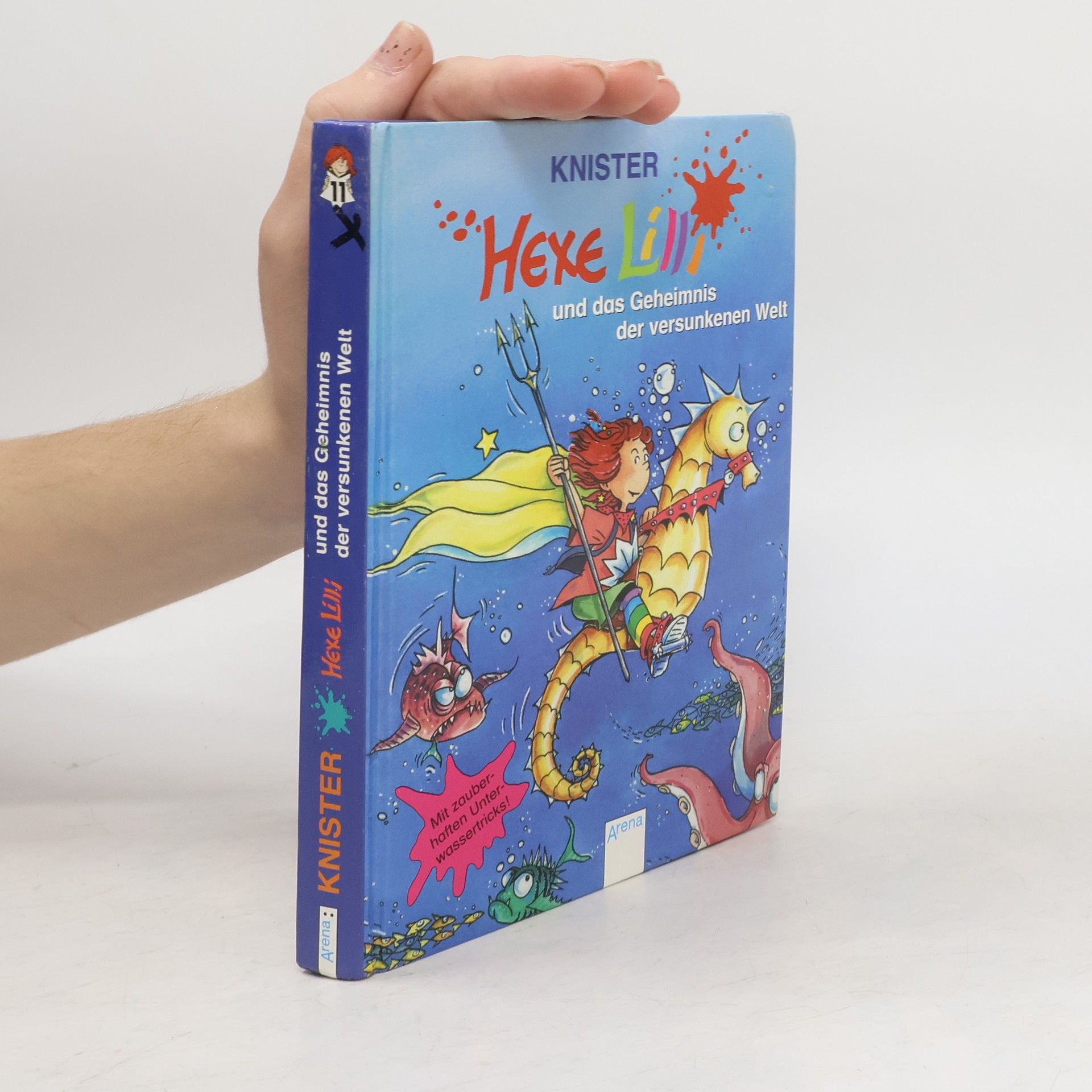 Knister Hexe Lilli und das Geheimnis der versunkenen Welt 11
