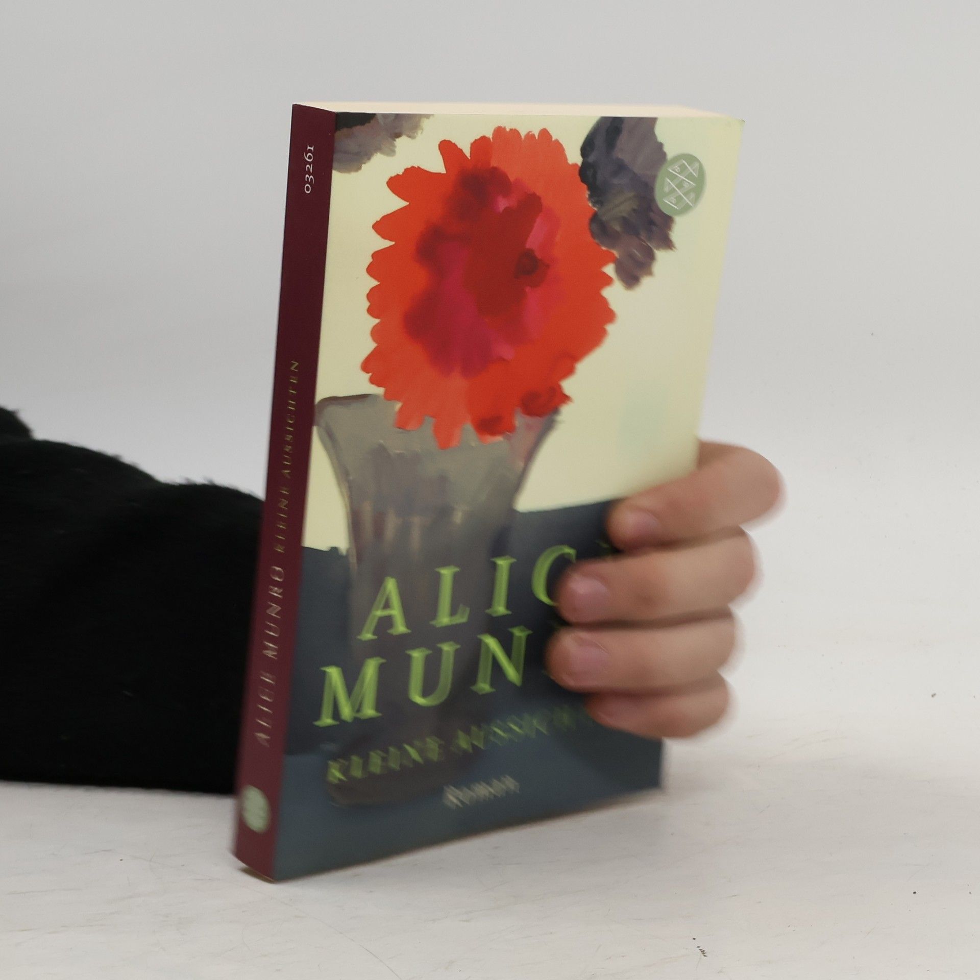 Alice Munro Kleine Aussichten