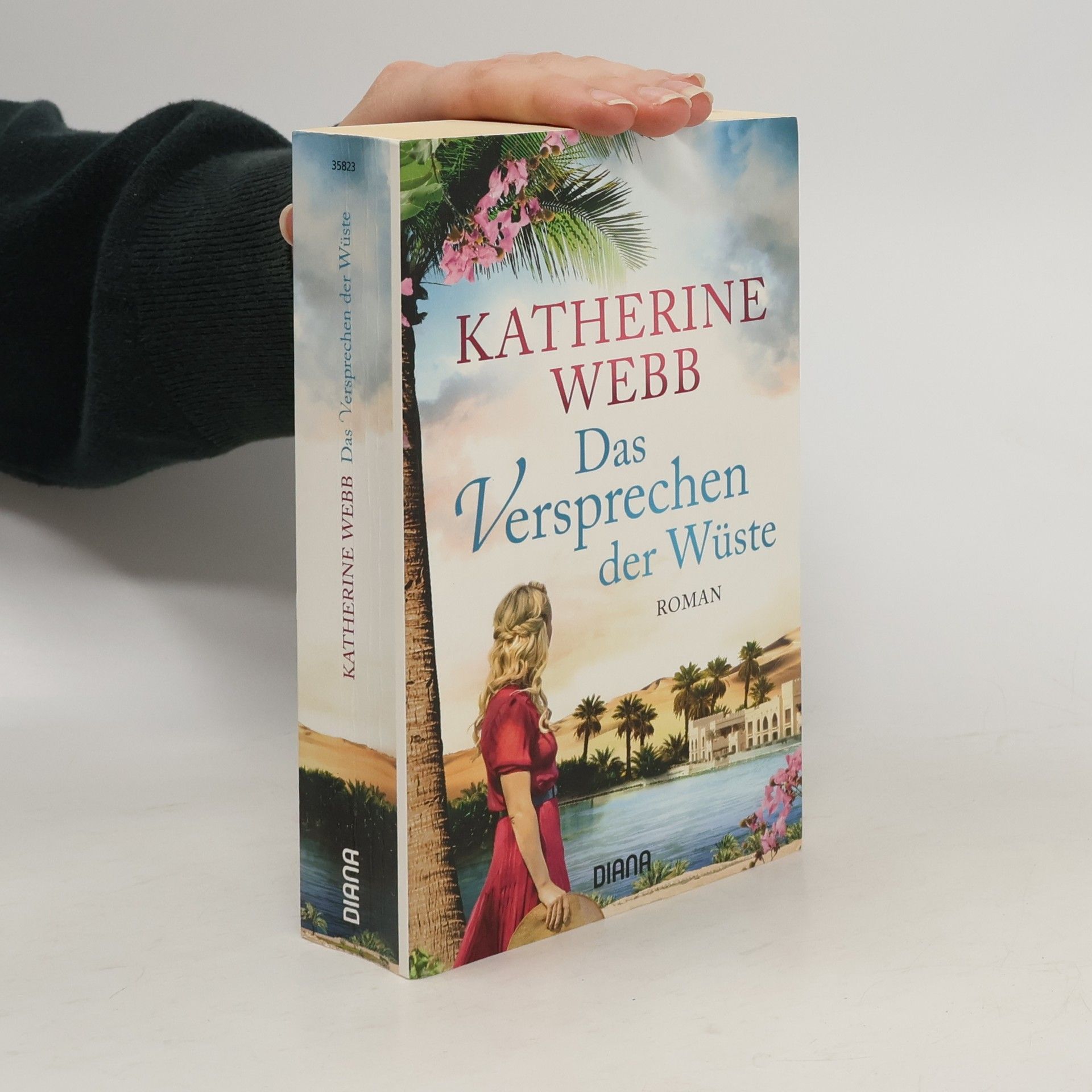 Katherine Webb Das Versprechen der Wüste