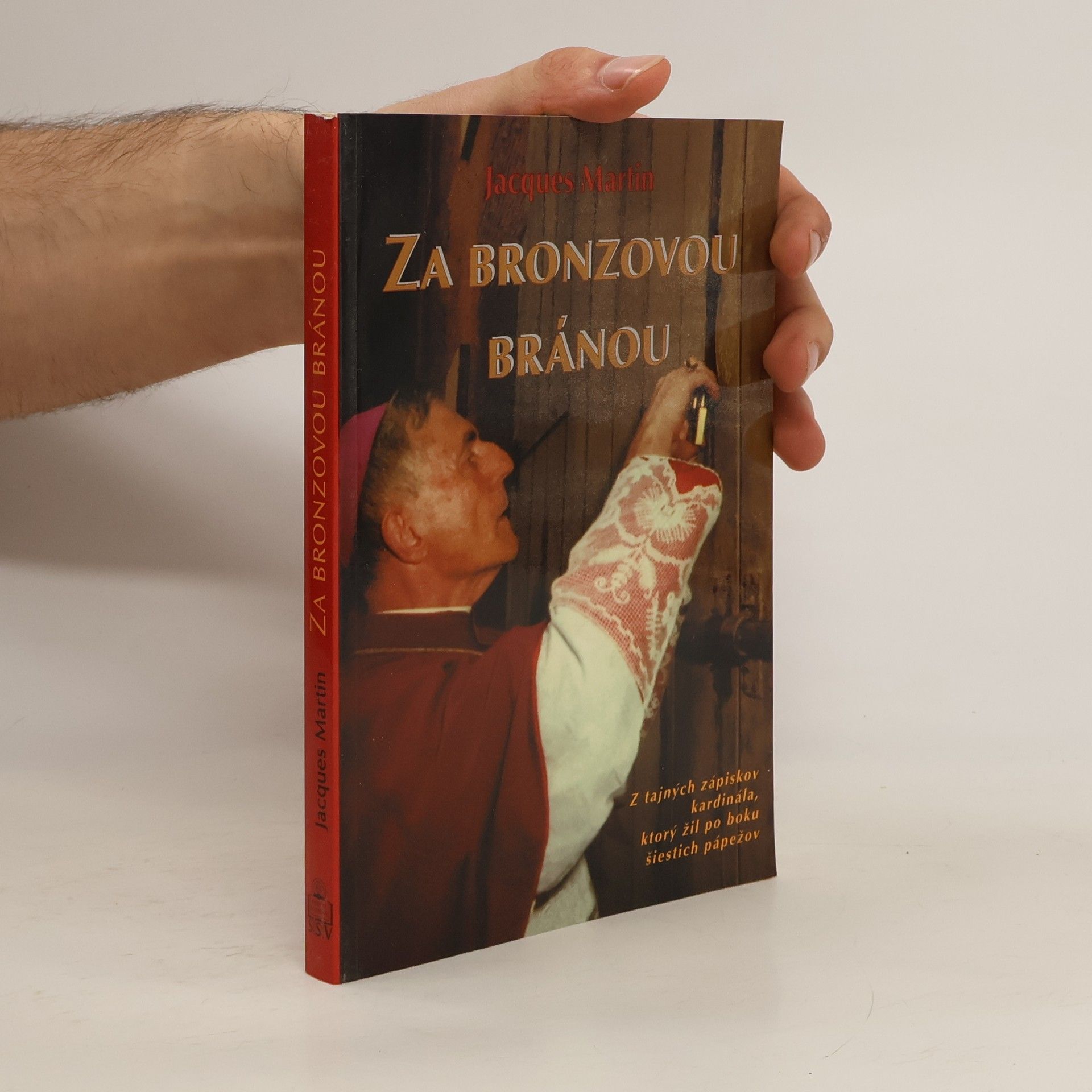 Za bronzovou bránou