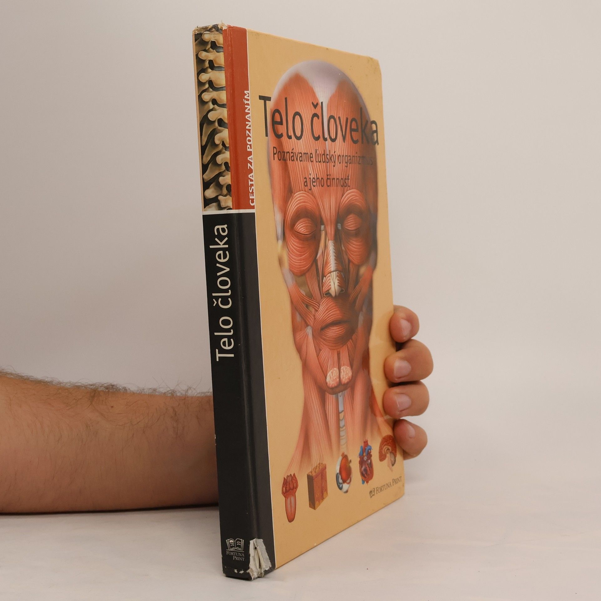 Various authors Telo človeka