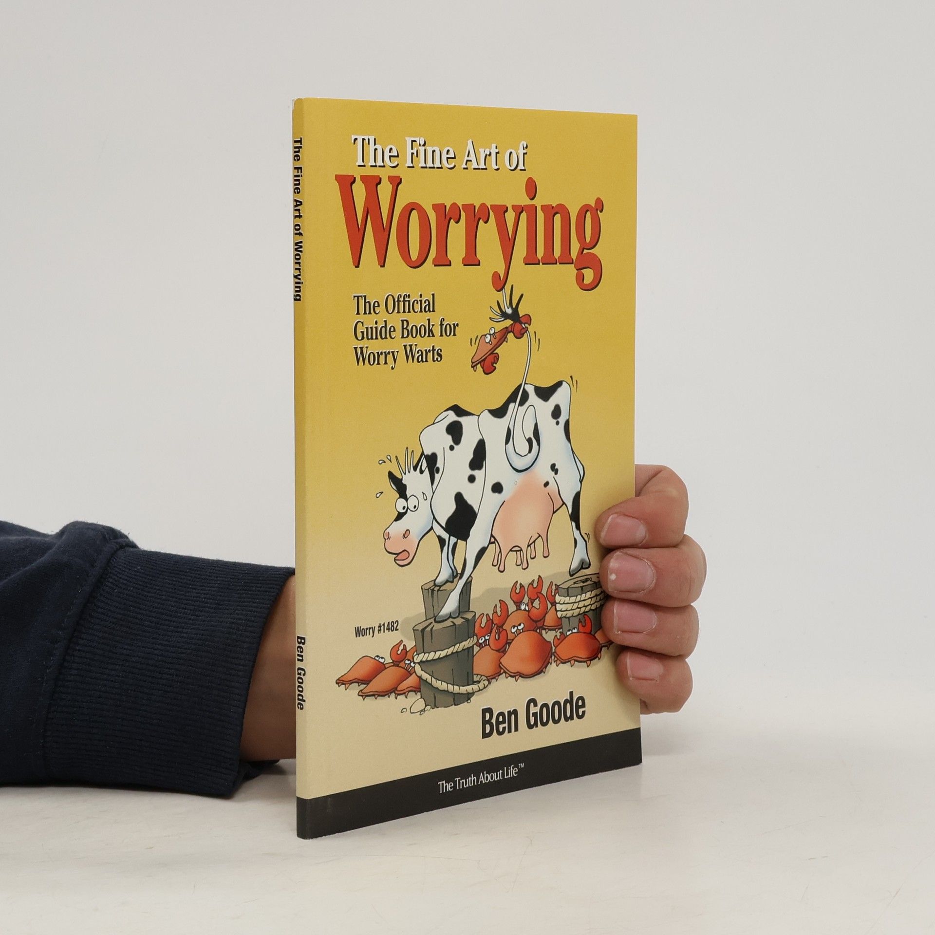 Ben Goode The Fine Art of Worrying