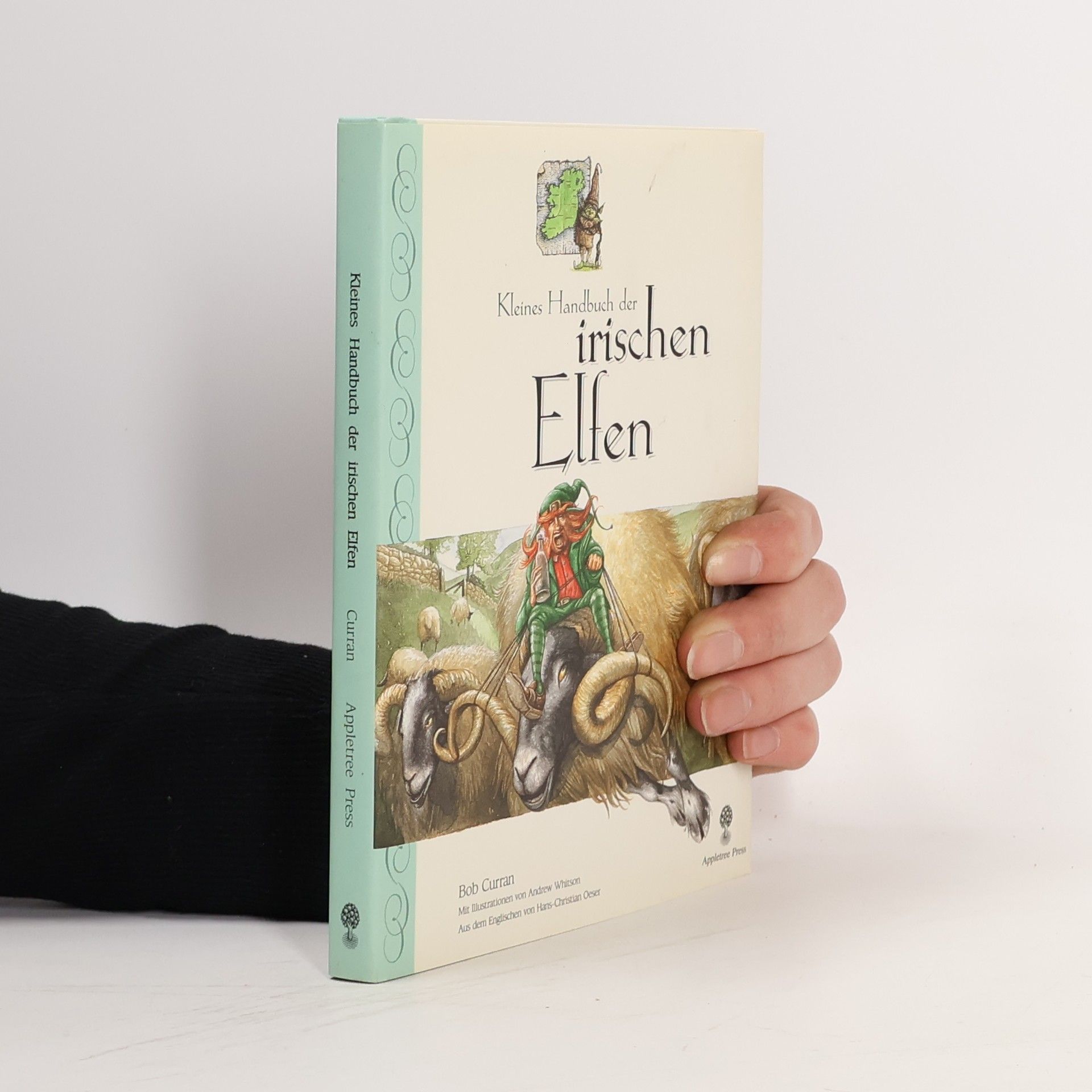 Bob Curran Kleines Handbuch der irischen Elfen