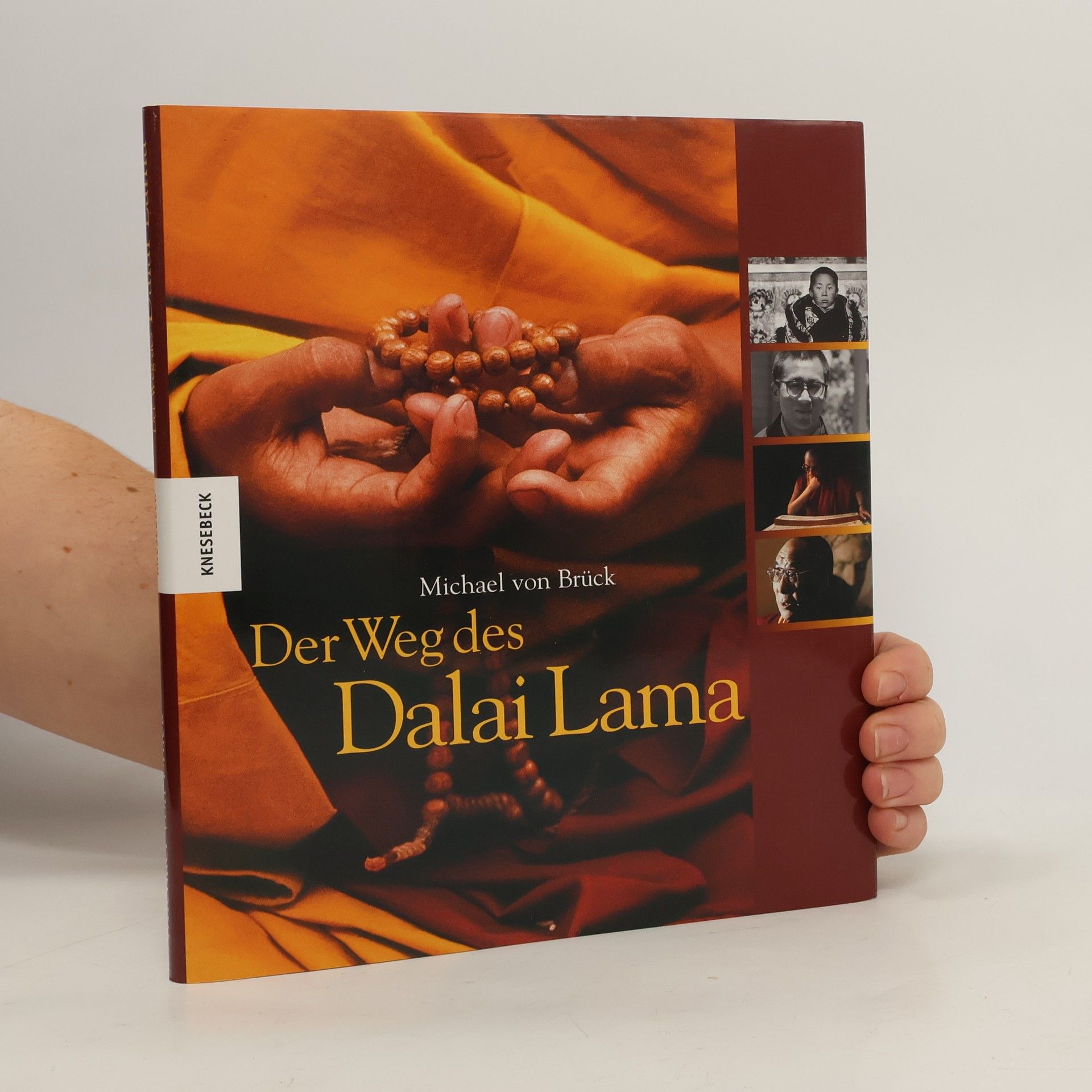 Michael von Brück Der Weg des Dalai Lama