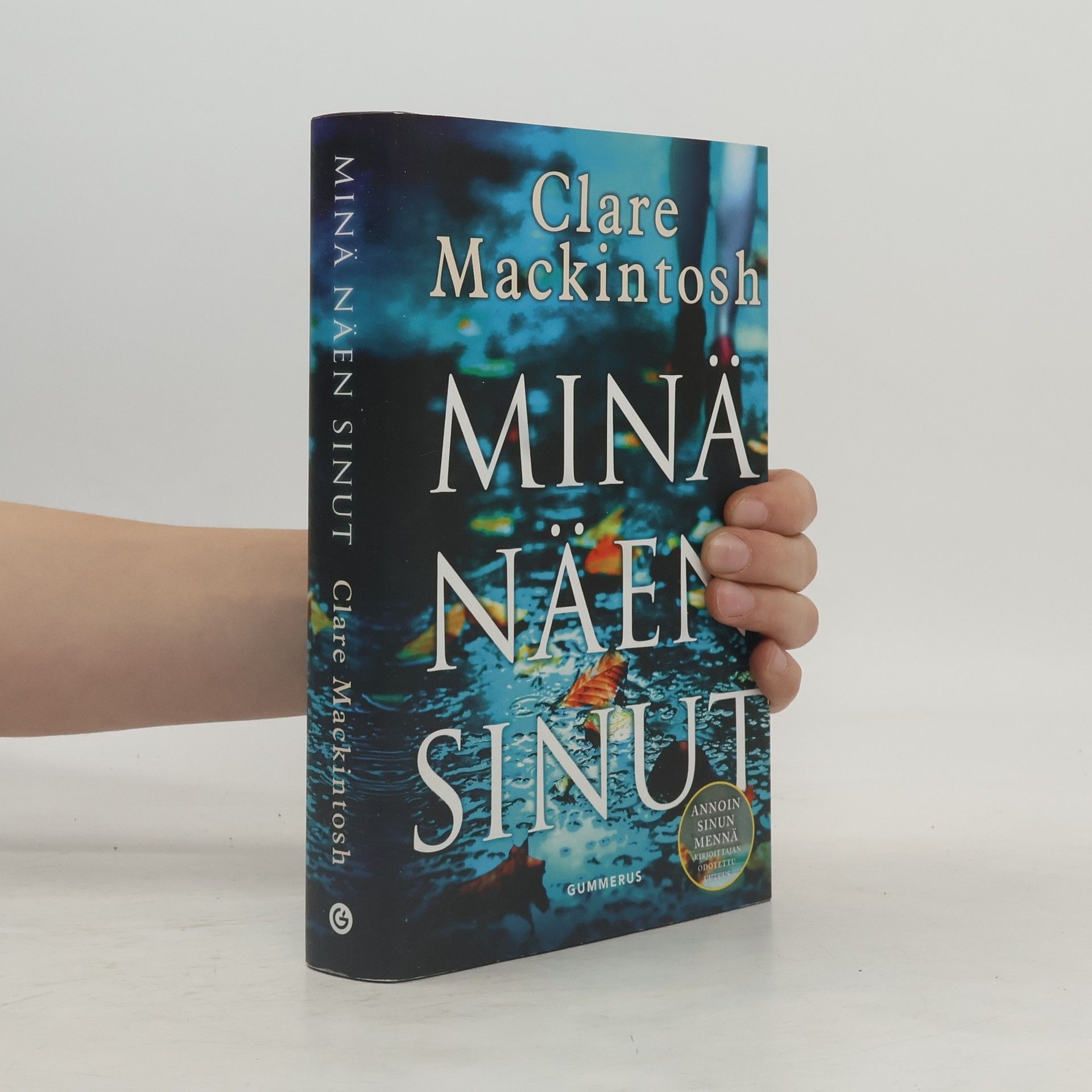 Clare Mackintosch Minä näen sinut