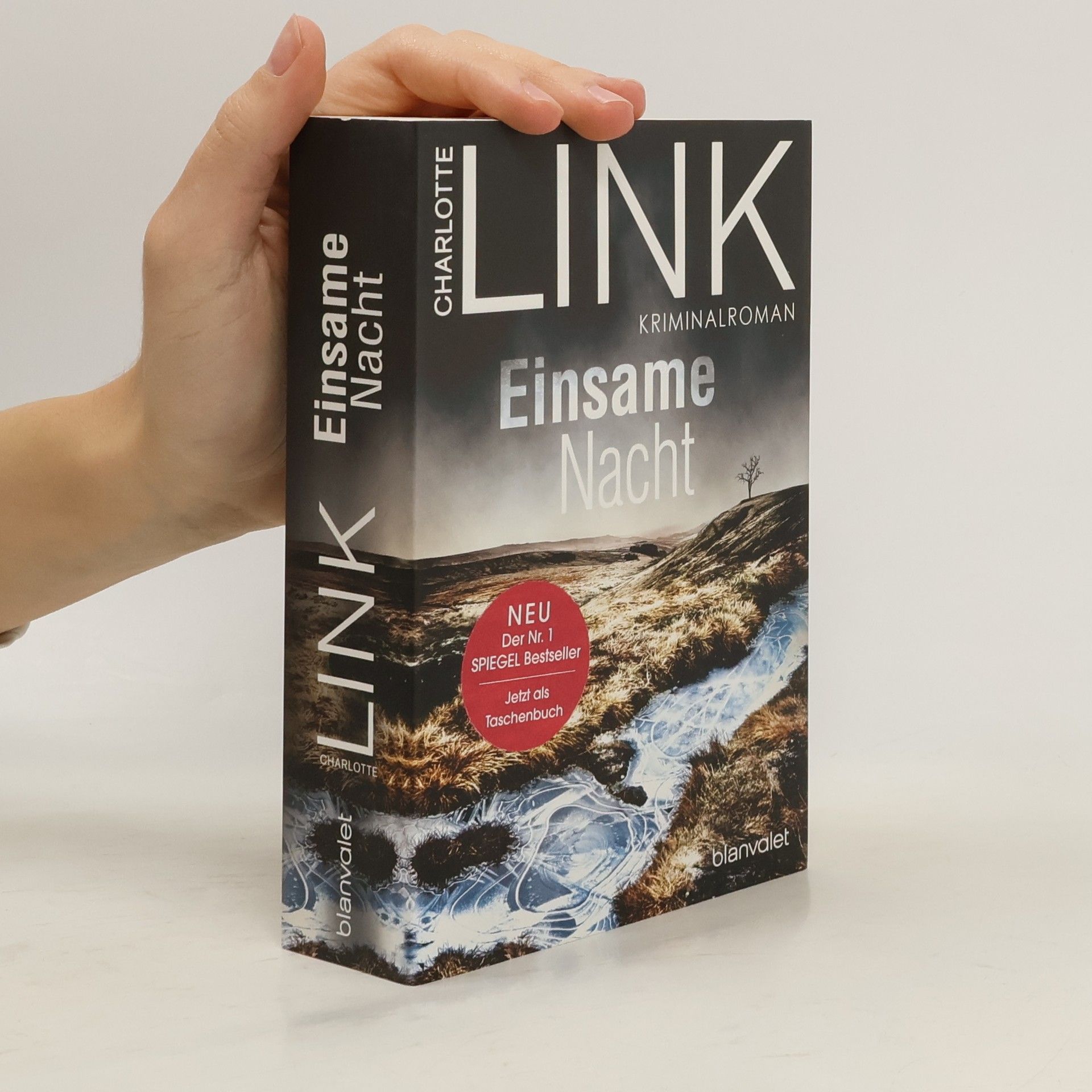 Charlotte Link Einsame Nacht