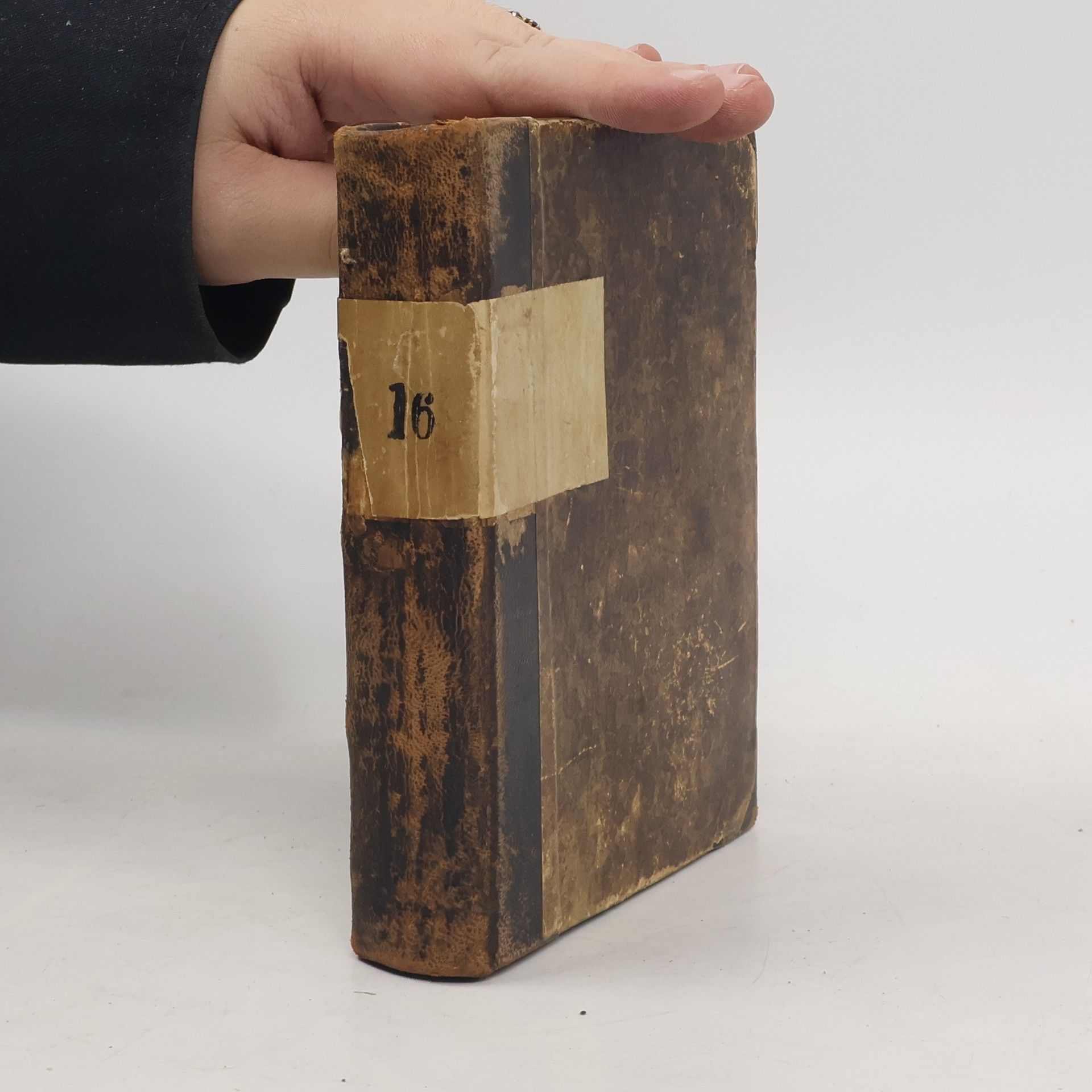 Vlasta Pittnerová Od Žďáru