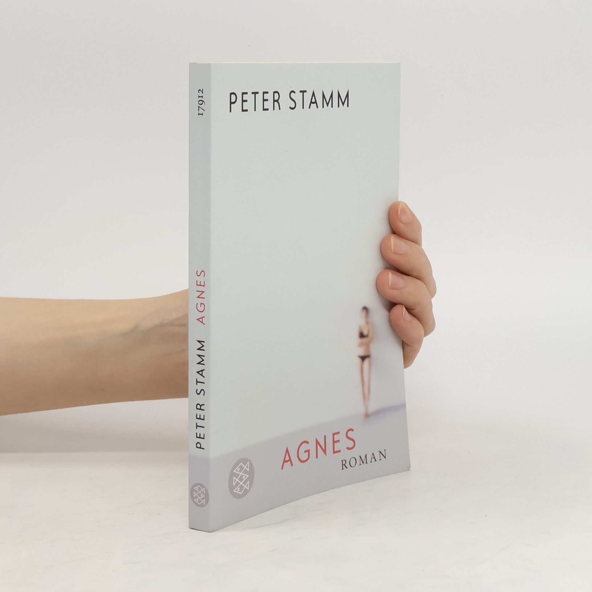 Peter Stamm Agnes