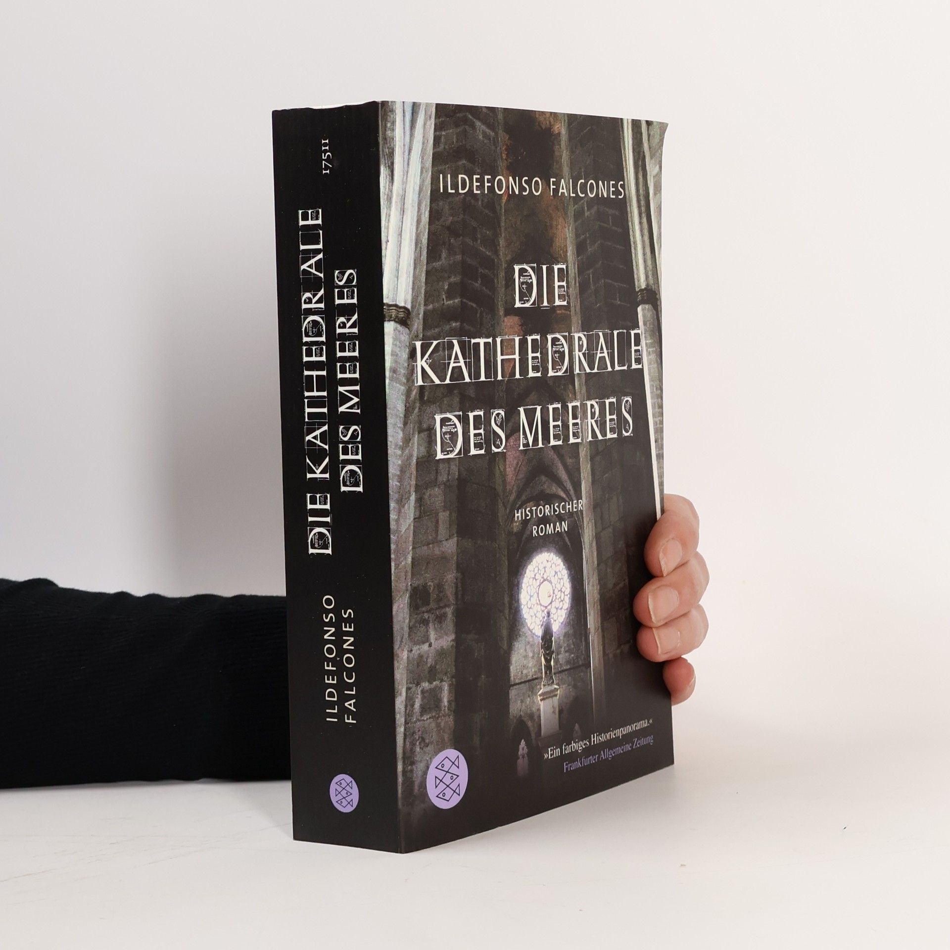 Ildefonso Falcones Die Kathedrale des Meeres