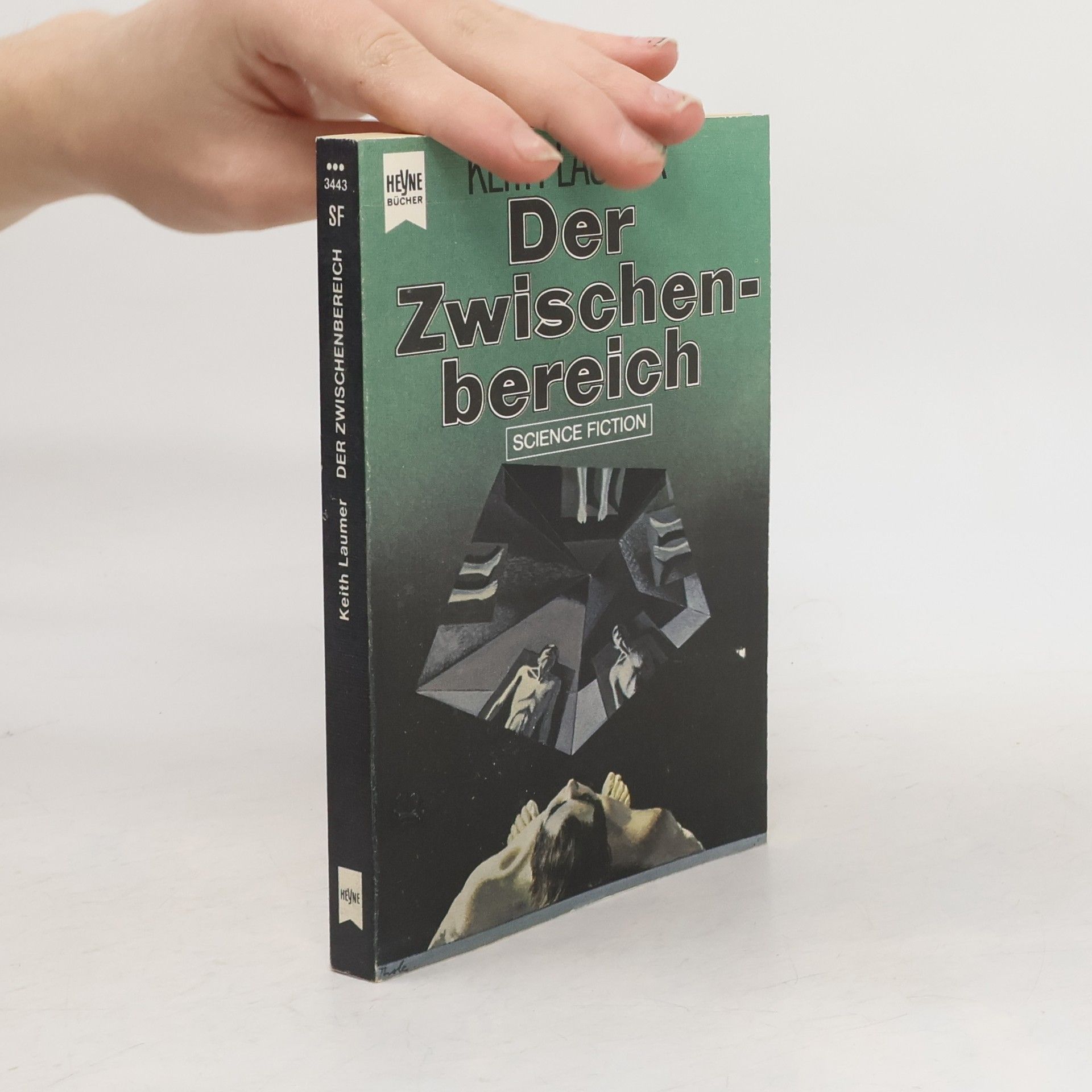 Der Zwischenbereich.