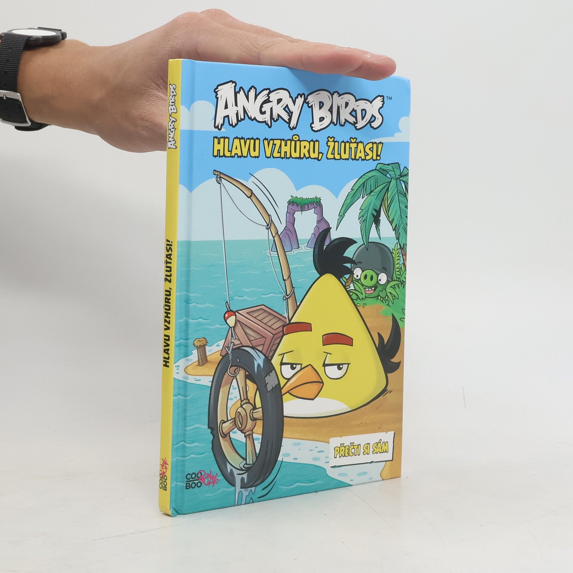 Richard Dungworth Angry birds. Hlavu vzhůru, Chucku!