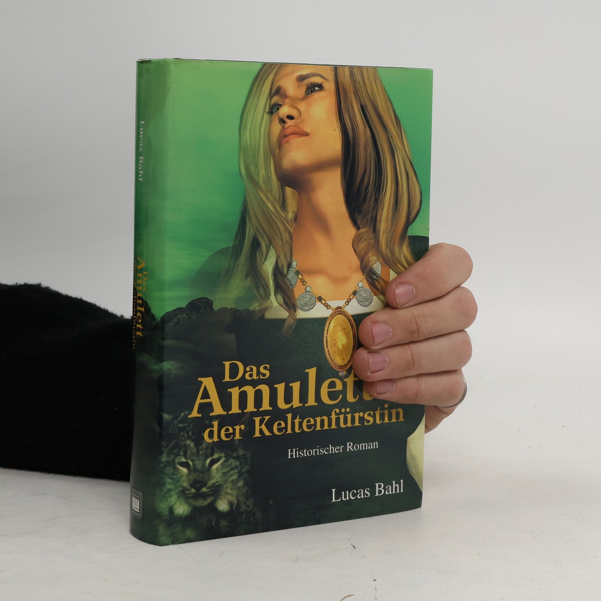Das Amulett der Keltenfürstin. Ein historischer Roman