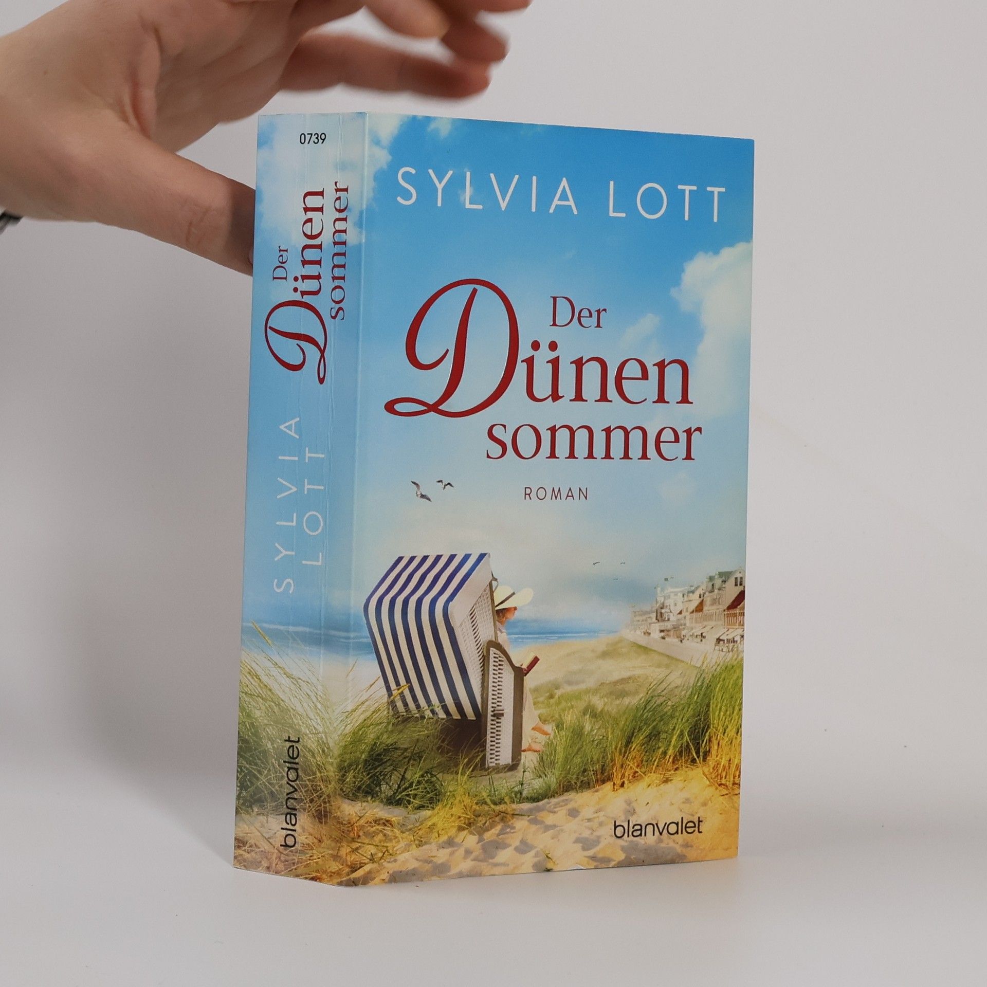 Sylvia Lott Der Dünensommer