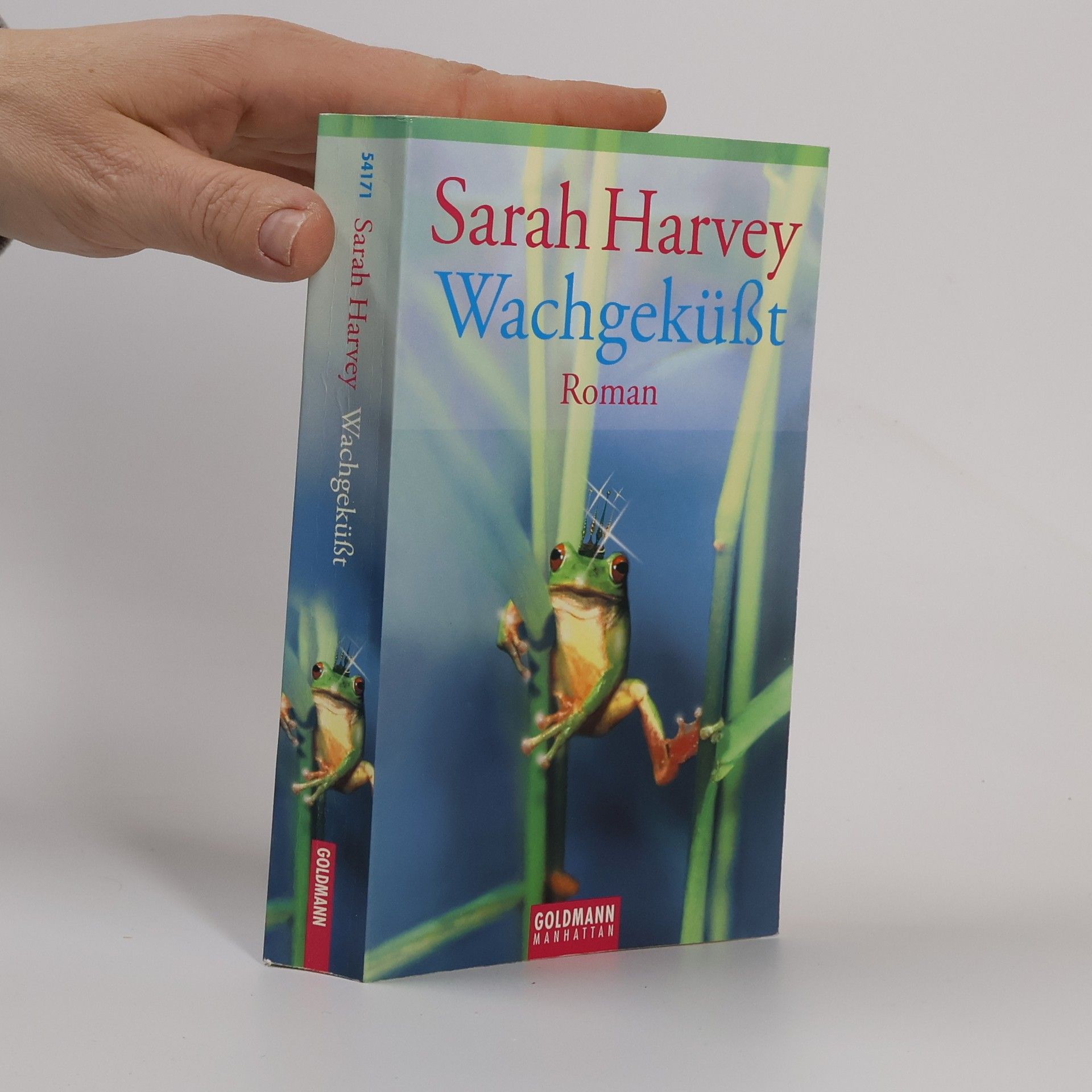 Sarah Harvey Wachgeküßt