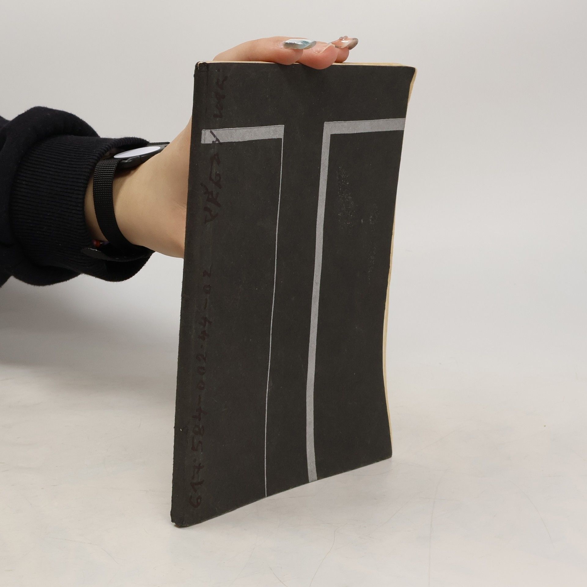 Vladimír Holan Aktuální otázky léčby bércového vředu