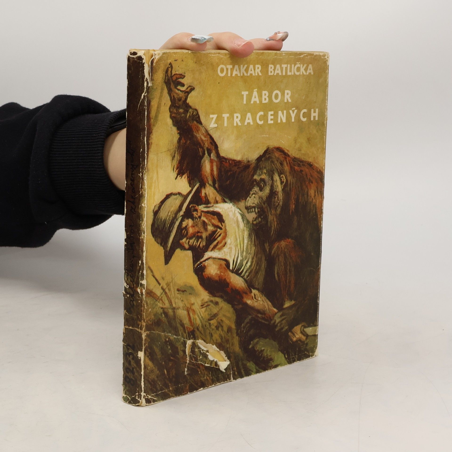 Otakar Batlička Tábor ztracených