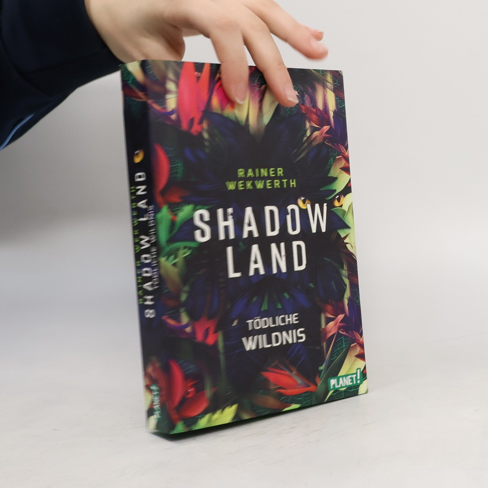 Rainer Wekwerth Shadow Land