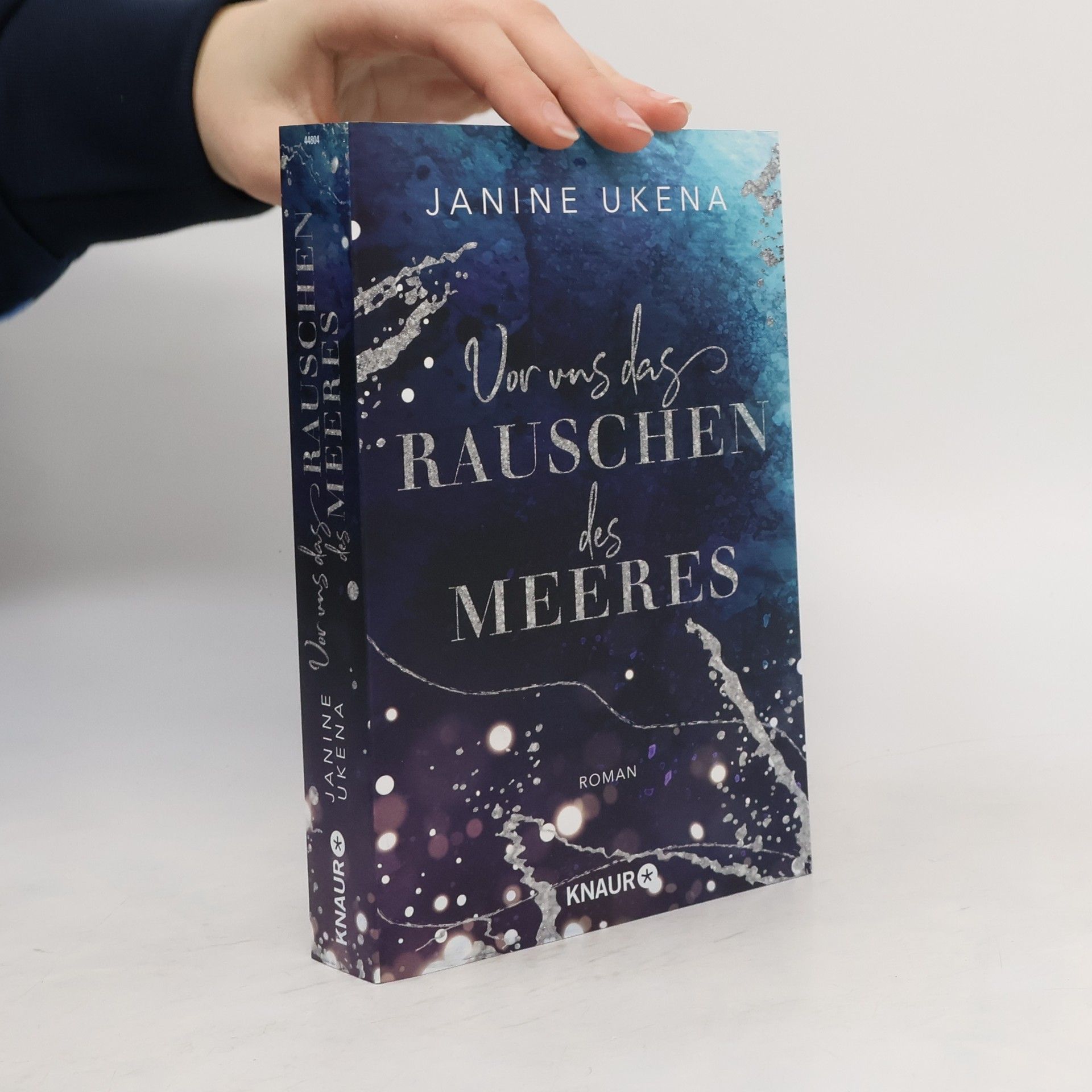 Vor uns das Rauschen des Meeres