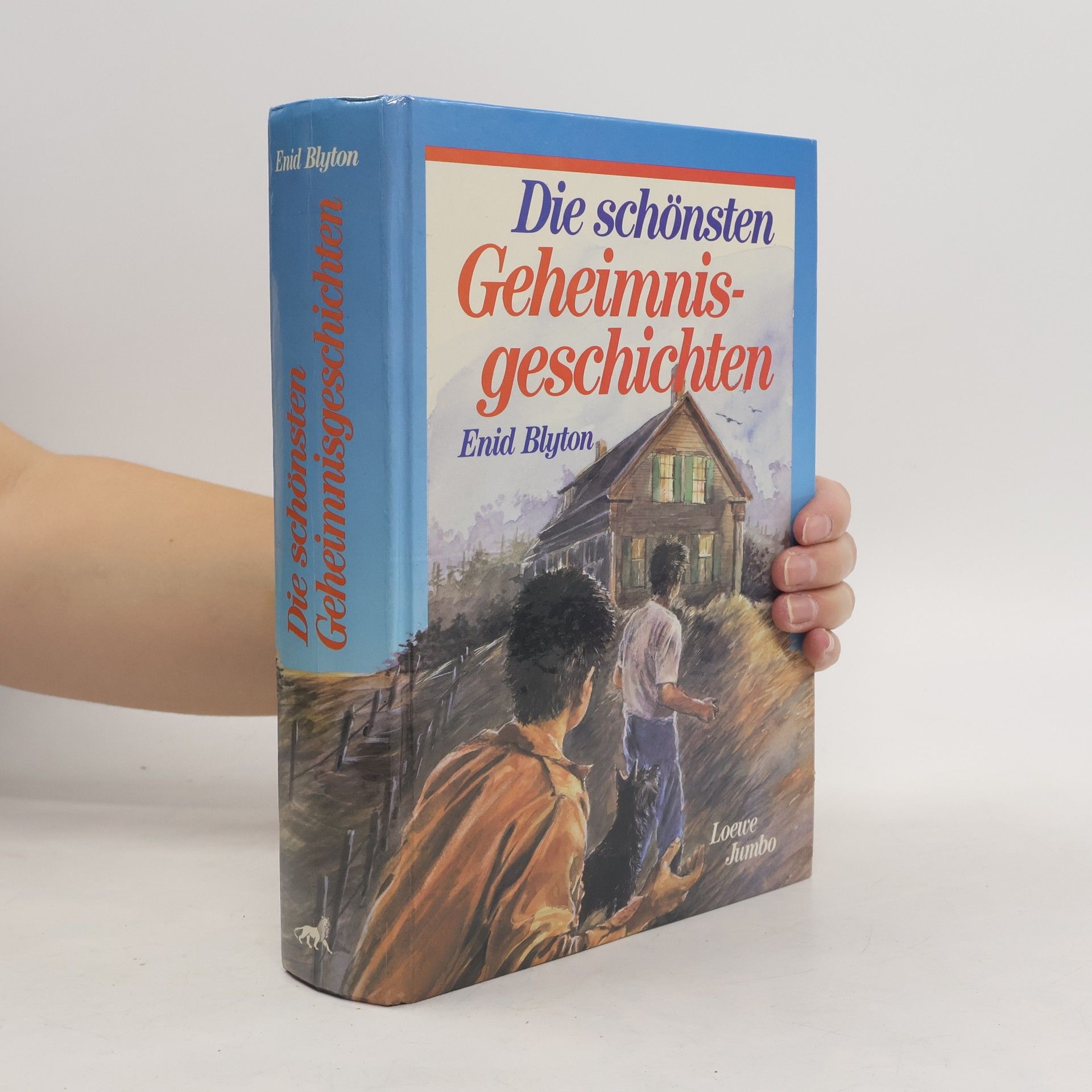 Enid Blyton Die schönsten Geheimnisgeschichten