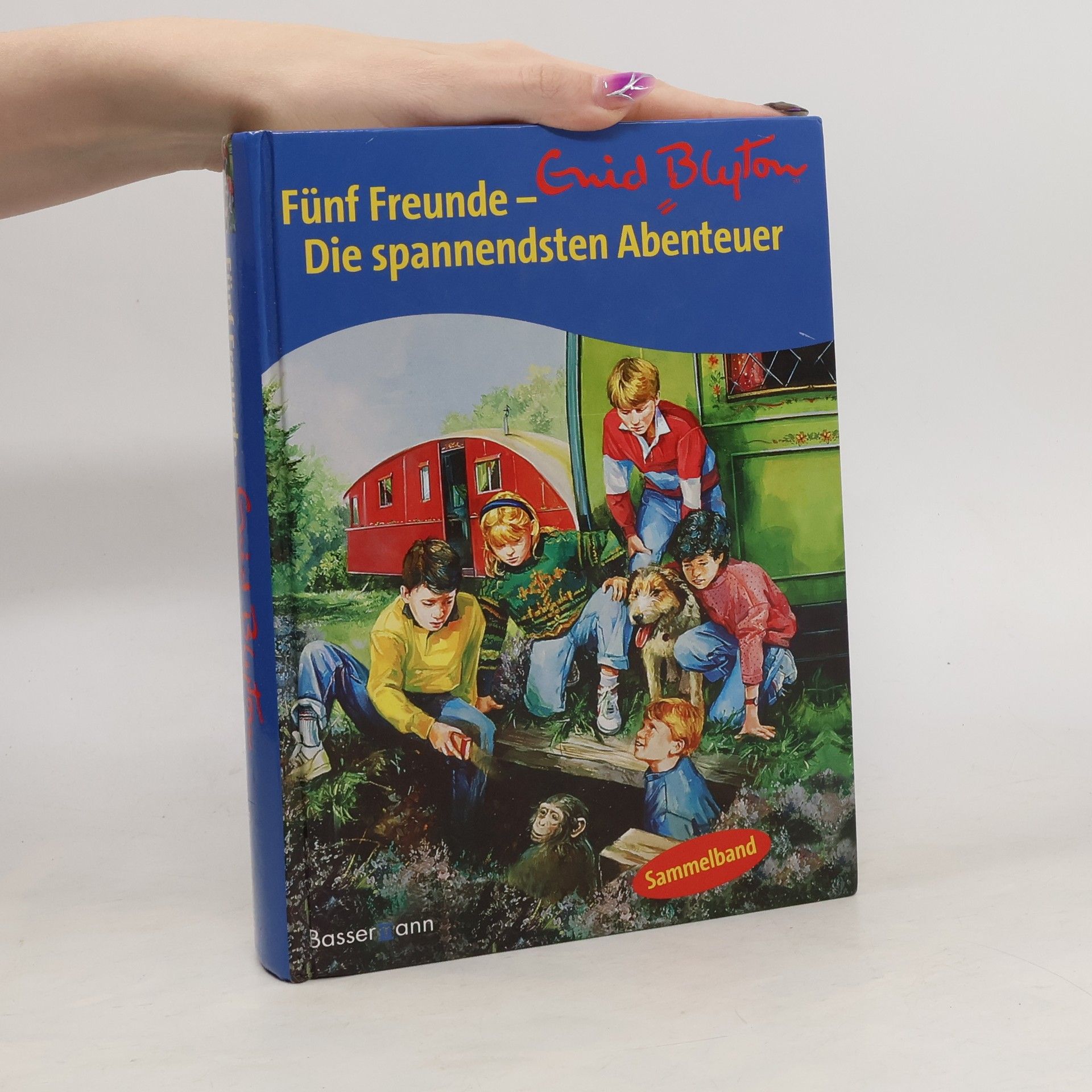 Enid Blyton Fünf Freunde - die spannendsten Abenteuer