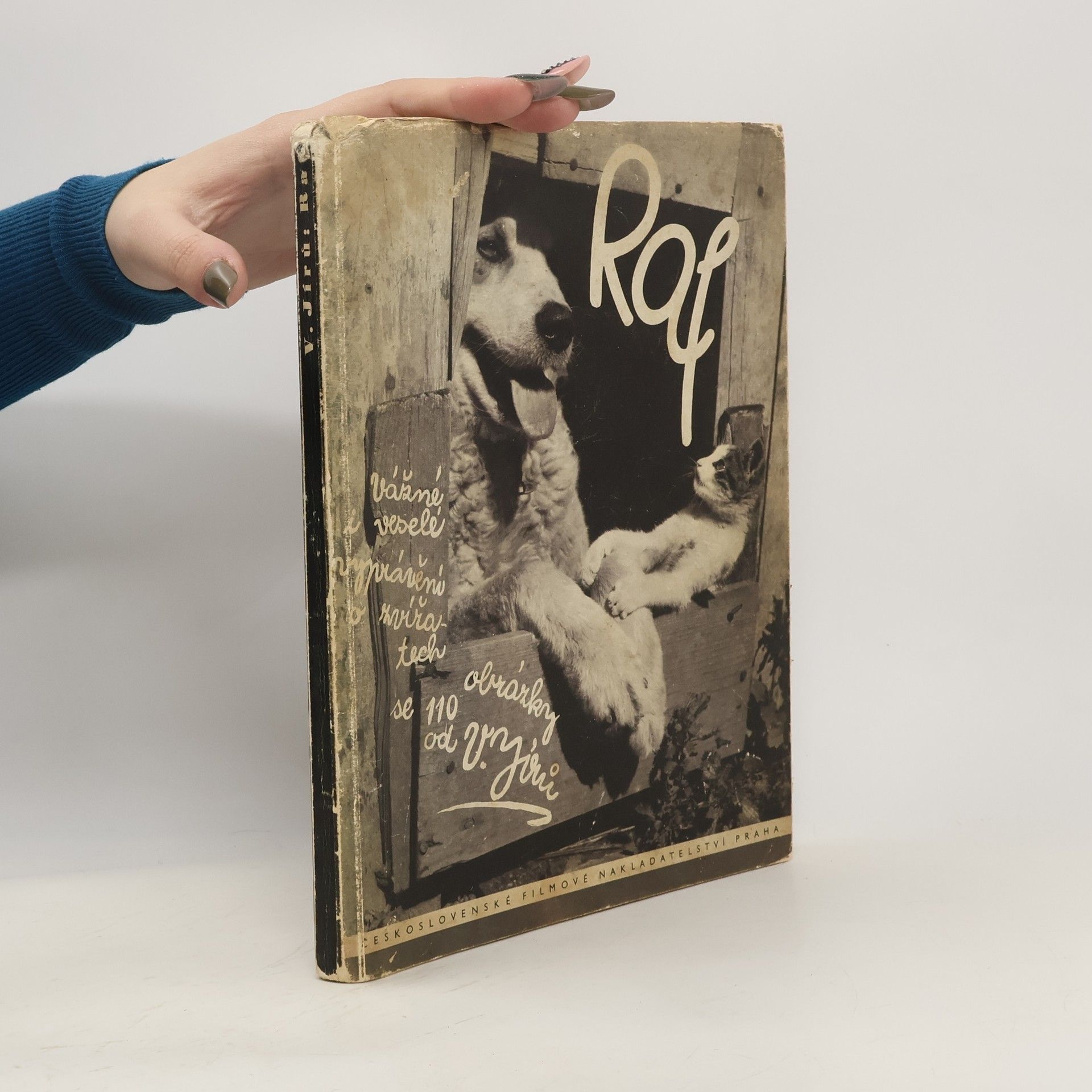 Raf, obrázkový deník zvířat a jejich příběhů