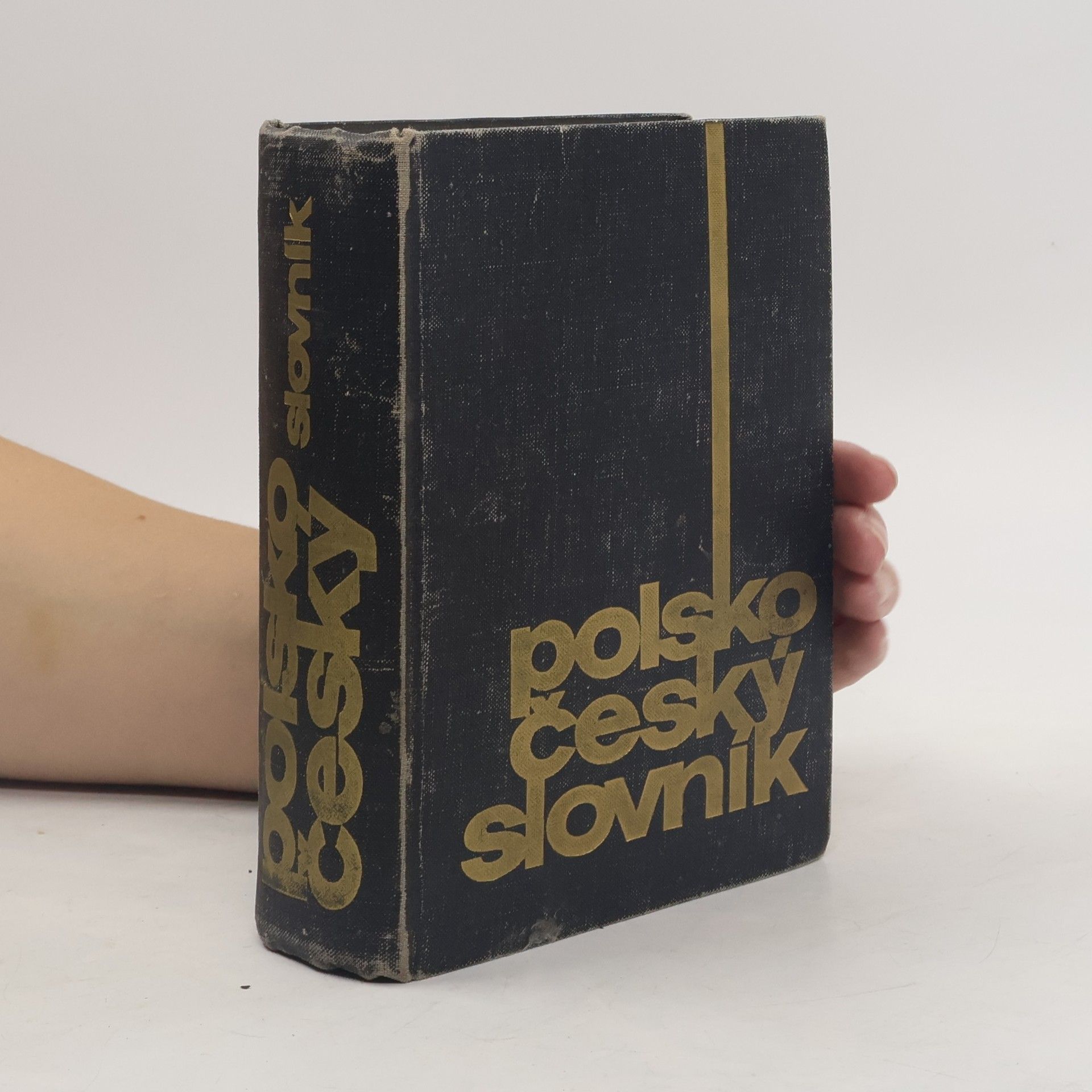 Polsko-český slovník