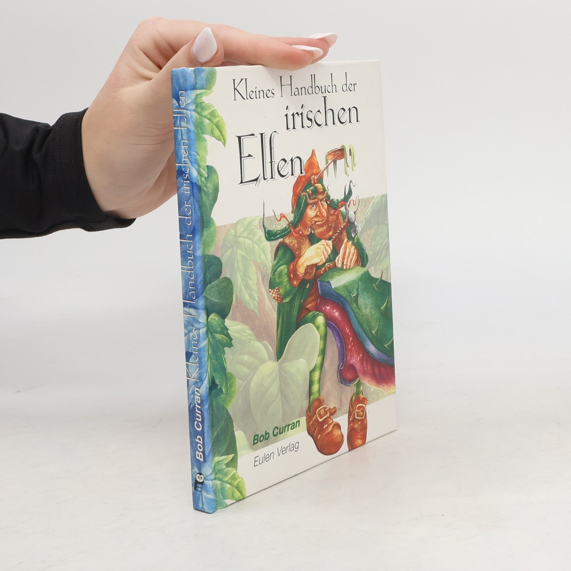 Bob Curran Kleines Handbuch der irischen Elfen